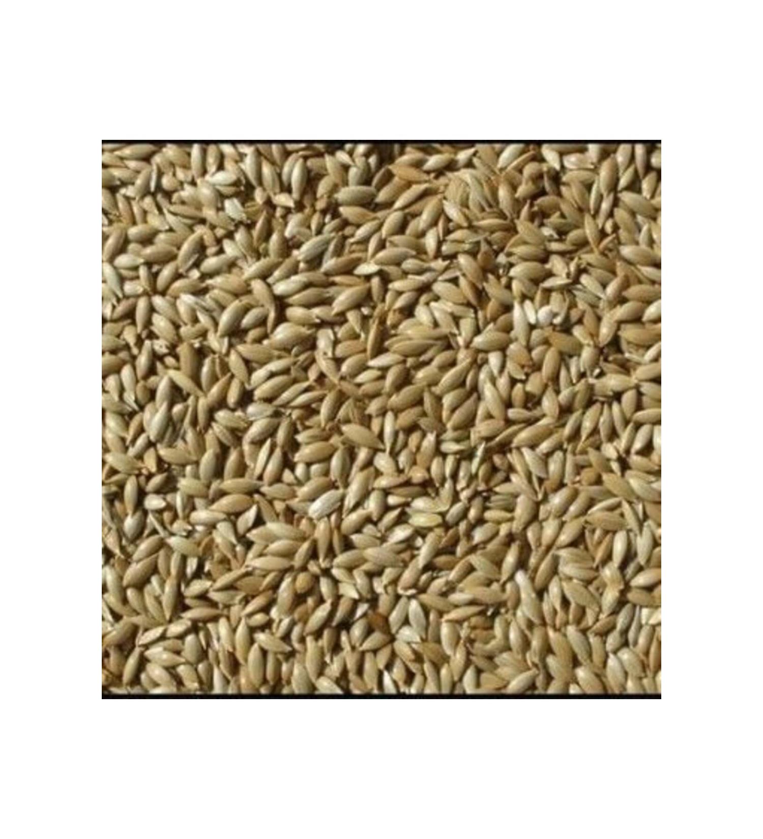Vivid Bird Plain Canary Food 10kg (DIVISIONED)