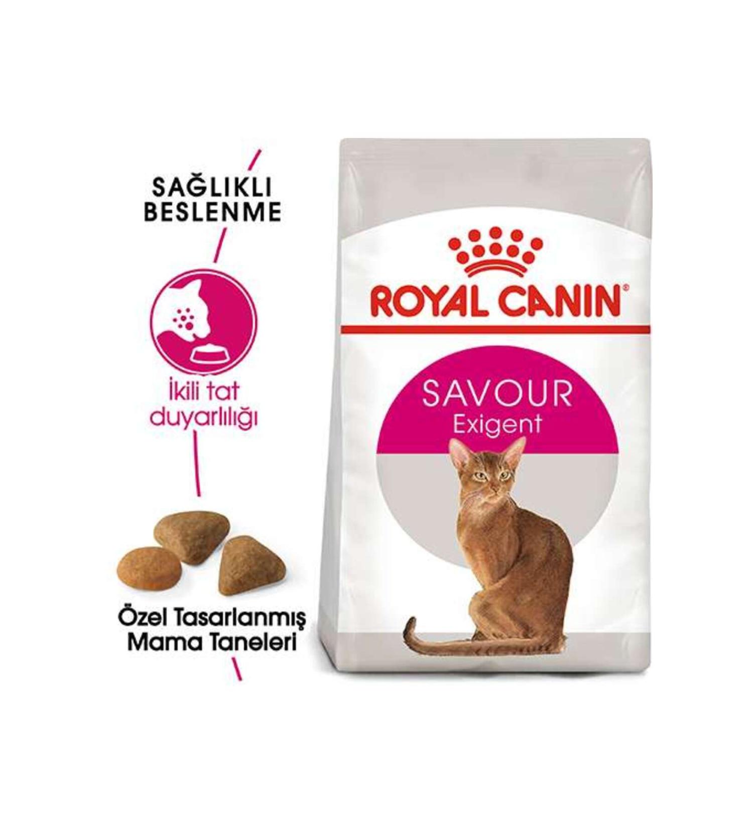 Ali The Stereo Royal Canin Exigent Savor Selective Adult Cat Food 2 Kg alithestereo
