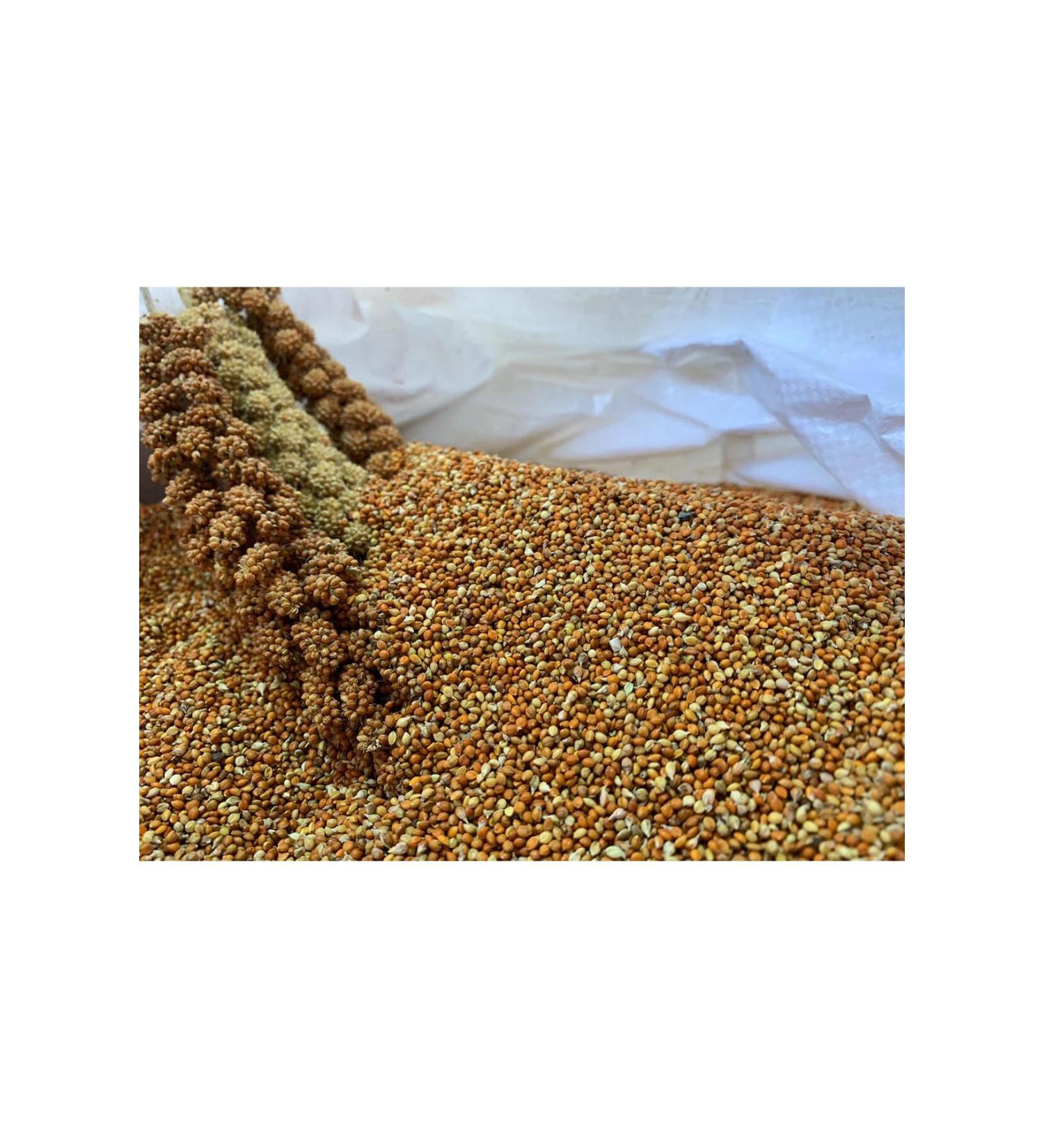 han melipetstore Sifted Red Millet from Dal Millet (sifted Red Millet) 1kg