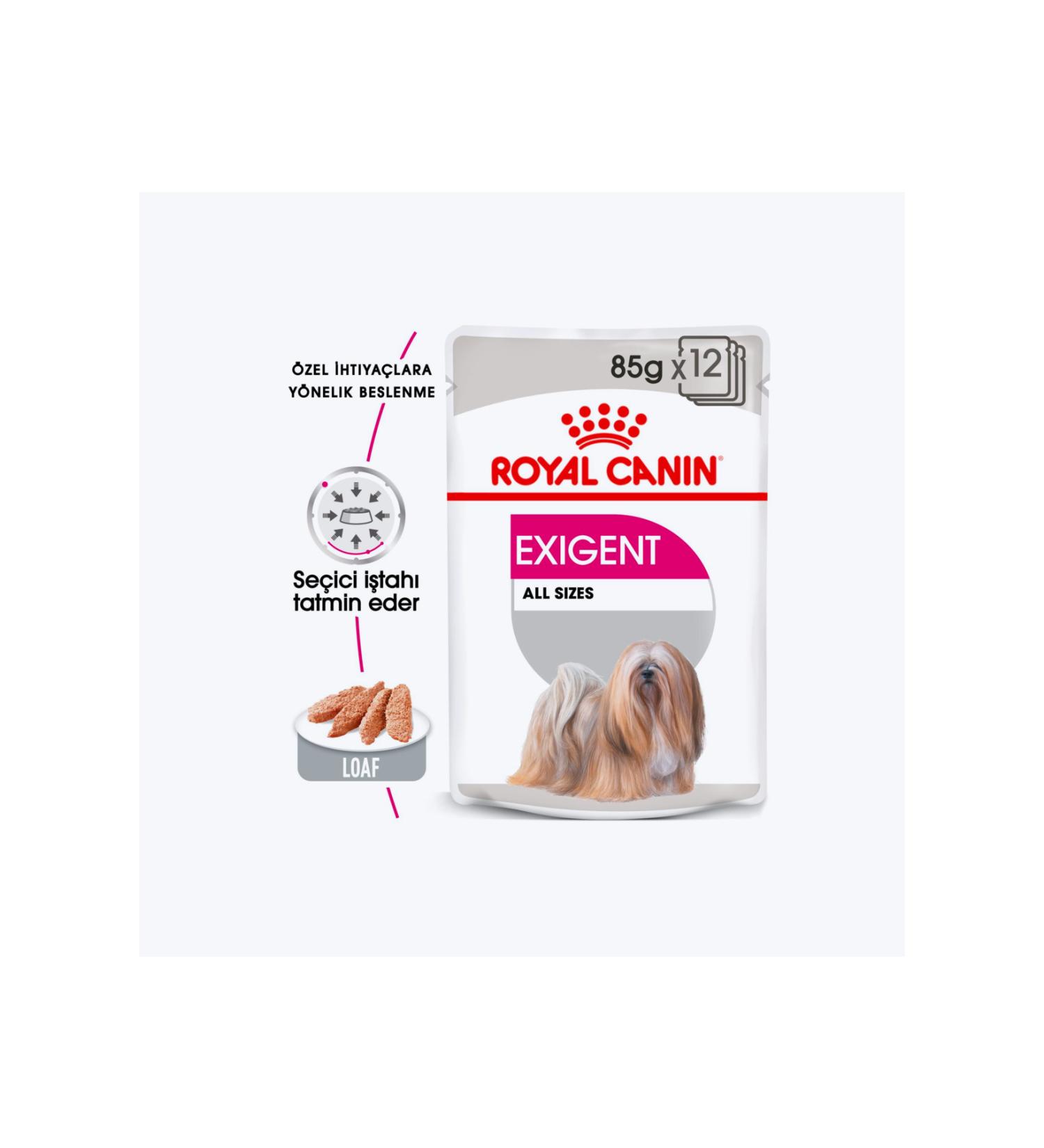 Royal Canin Ccn Exigent Loaf Wet Dog Food 85 gr 12 Pieces