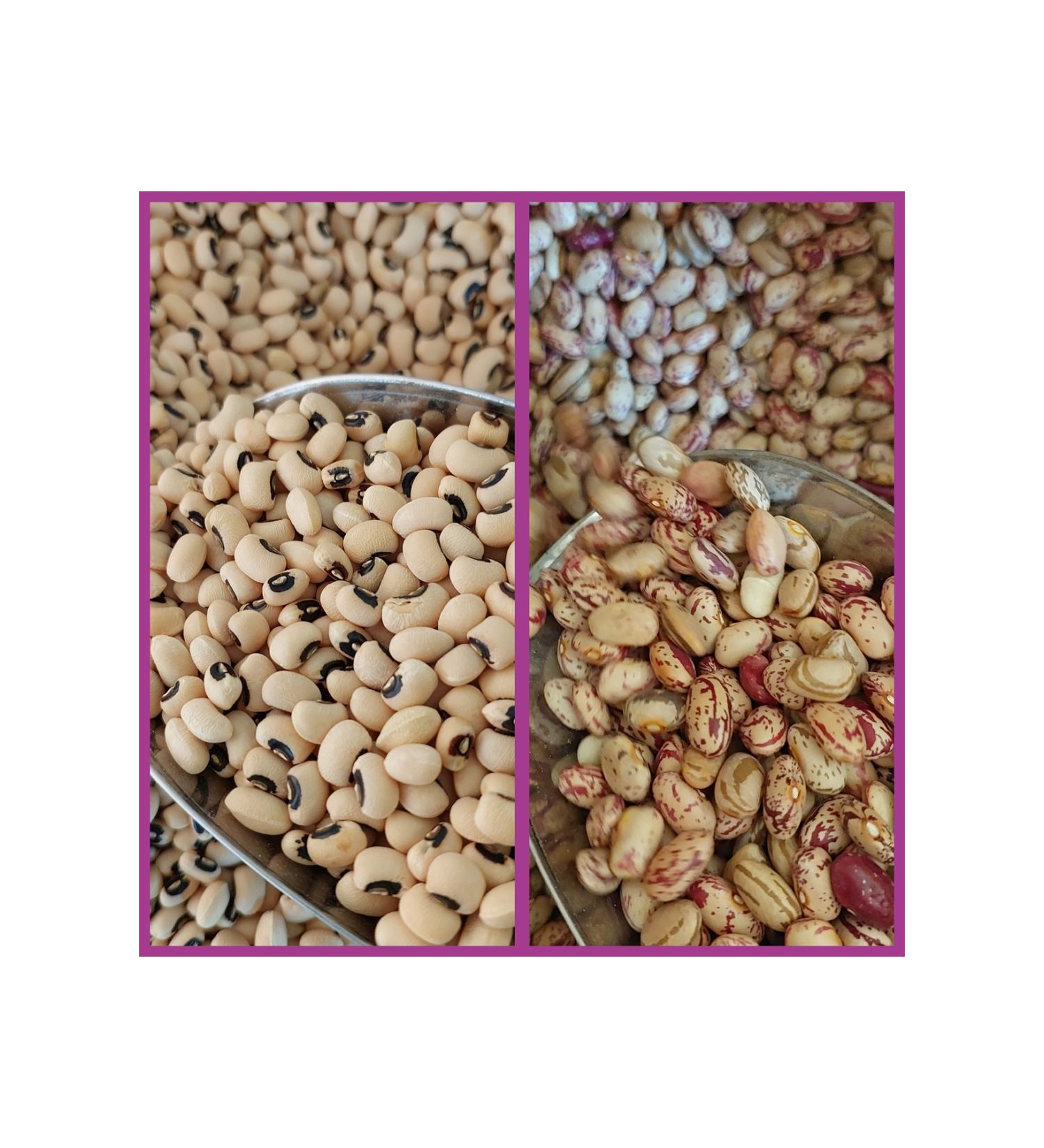 irfan legumes Black Eyed Peas 5 Kg Kidney Beans 5 Kg Net 10 Kg