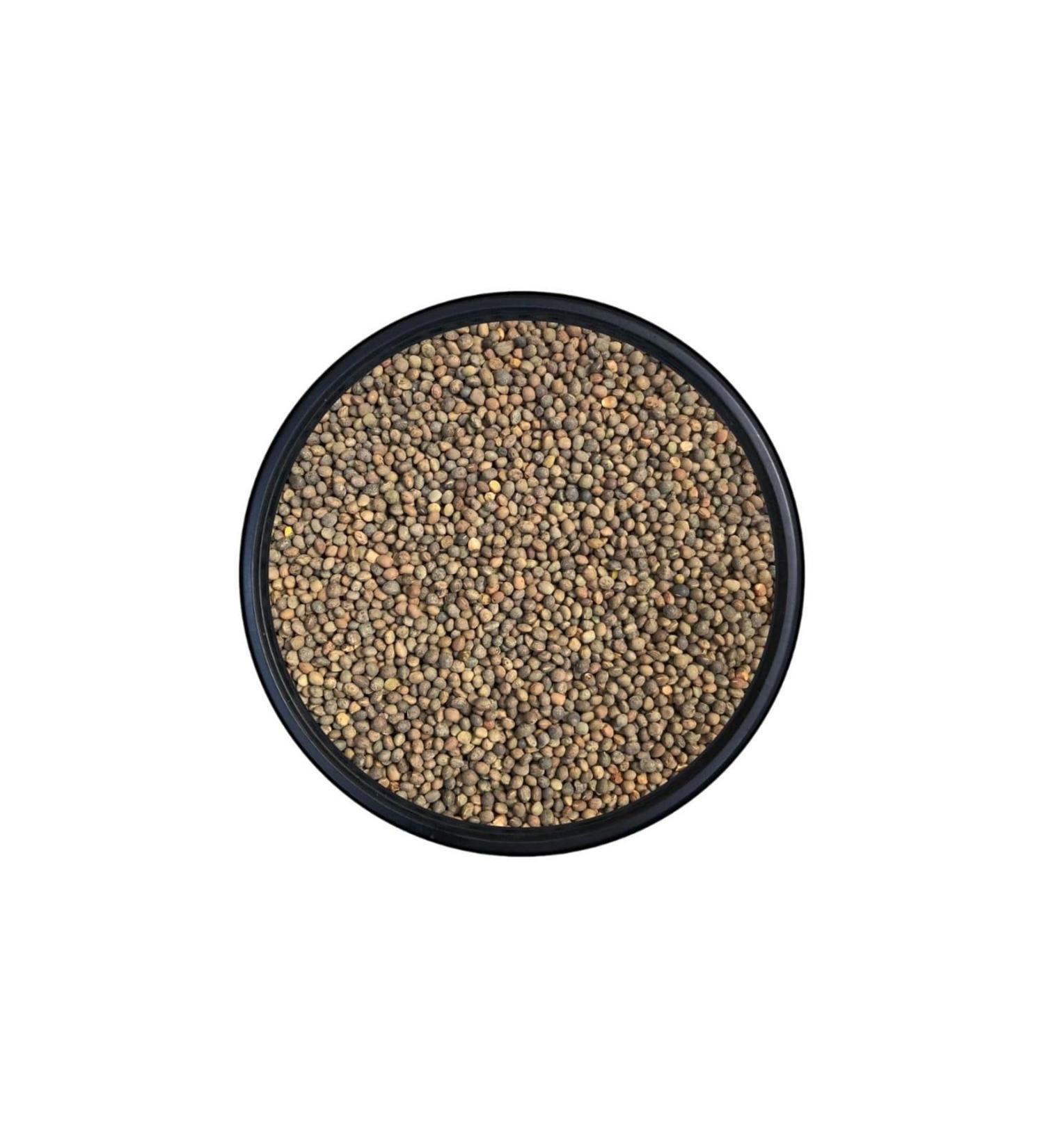 Kanatl Shop Original Vetch Seed Sieved 5 KG
