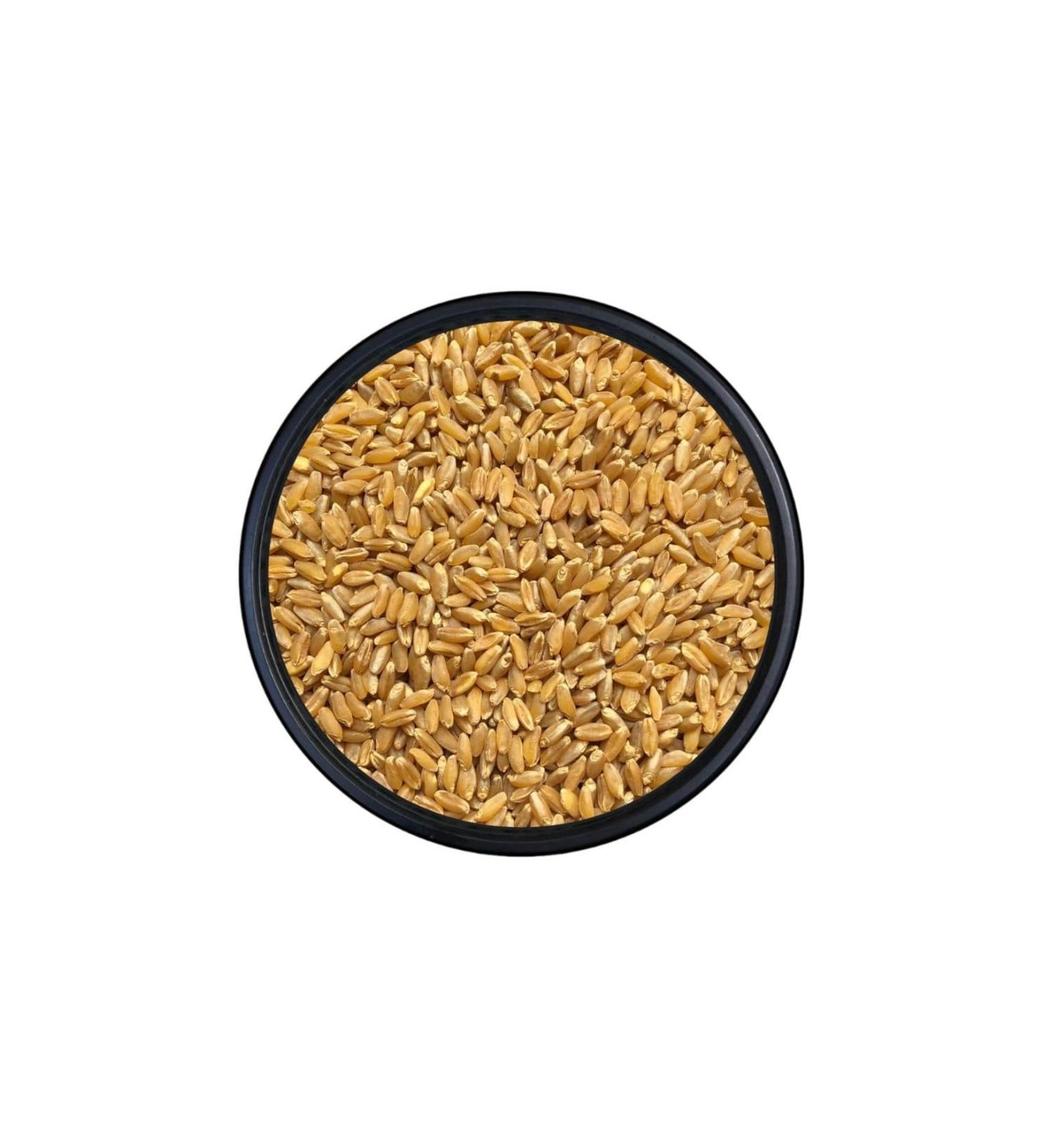 Kanatl Shop Konya Durum Wheat 1st Class Bird Food 10 KG