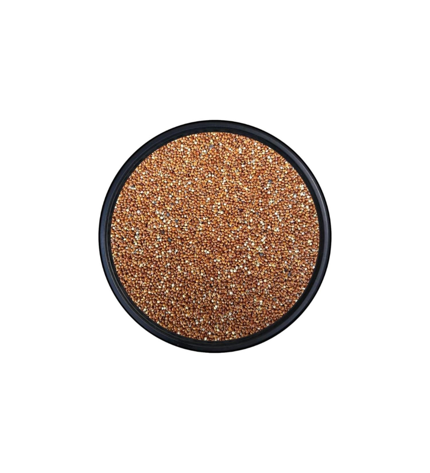 Kanatl Shop Red Budgie Millet 5 KG