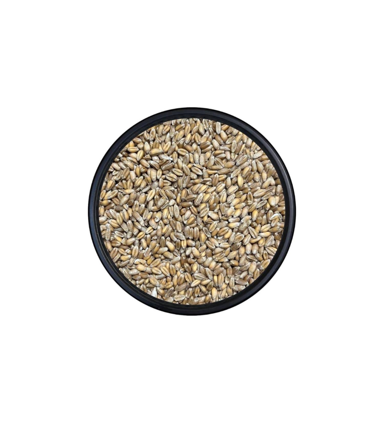 Kanatl Shop Thrace Brown Wheat Bird Food 10 KG