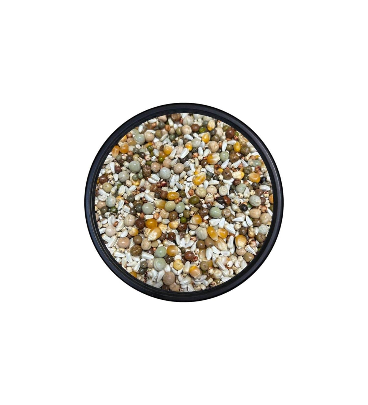 Poultry Shop King Pigeon Wheat-Free Bird Food 5 KG