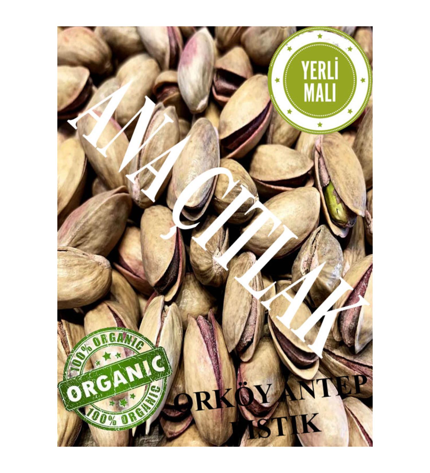 Orkoy Main Cracked Pistachio Salted Roasted 1 Kg - Large Size
