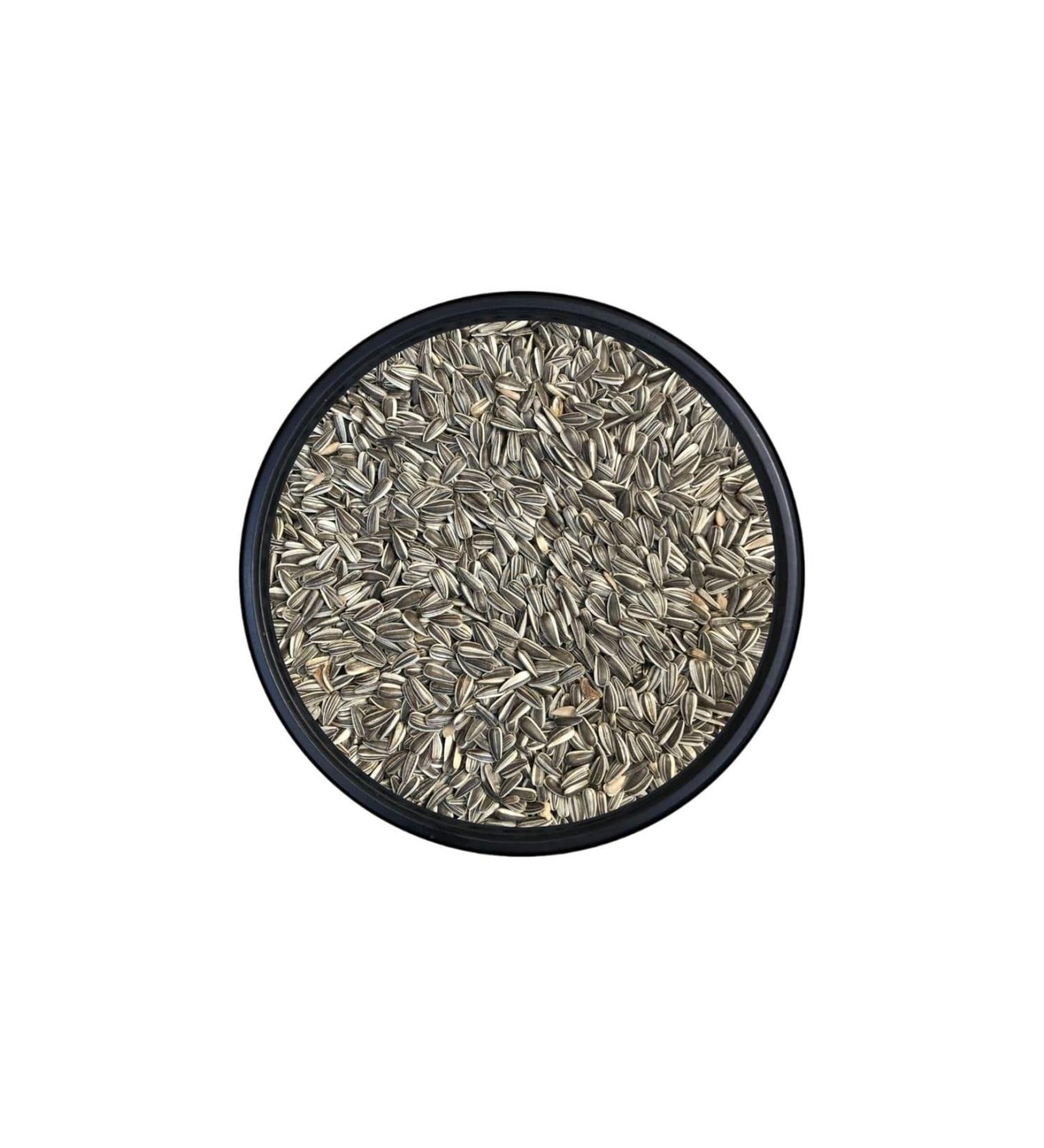 Poultry Shop Pied Seed Bird Food 5 KG