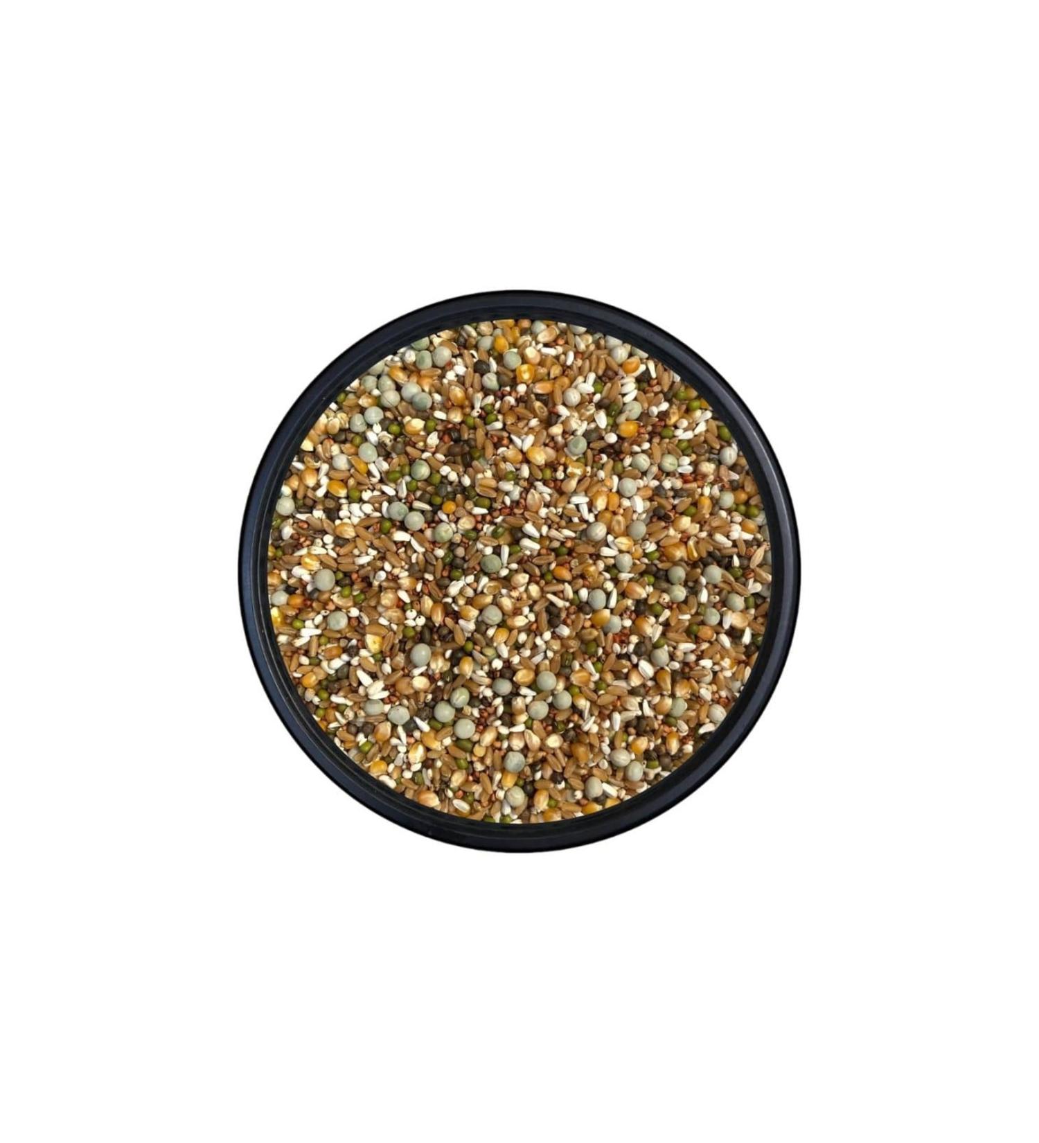 Kanatl Shop Luxury Wheat Mixed Bird Food 5 KG