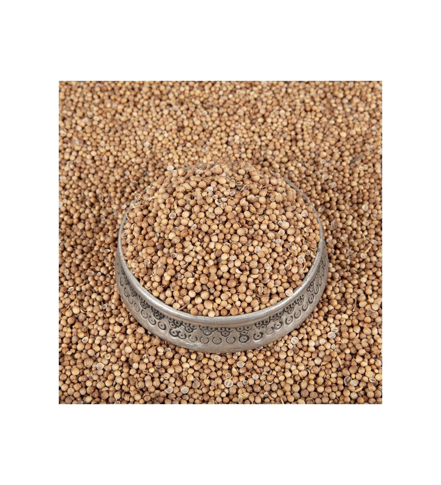 Tilmen Paste and Pepper Coriander 3 KG