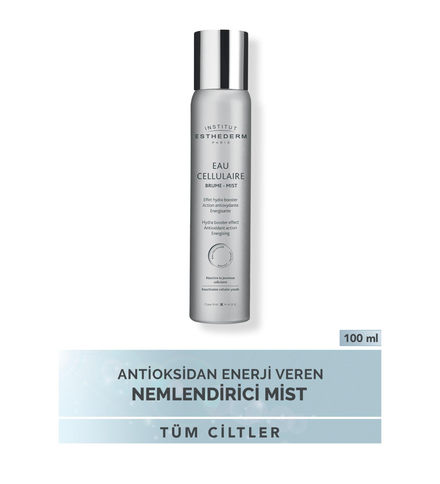 INSTITUT ESTHEDERM Smooth Skin - ANTIOXIDANT-EFFECT MOISTURIZING MIST WITH HYALURONIC ACID 100 ML PSSN976 - Buy Online on GoSupps.com