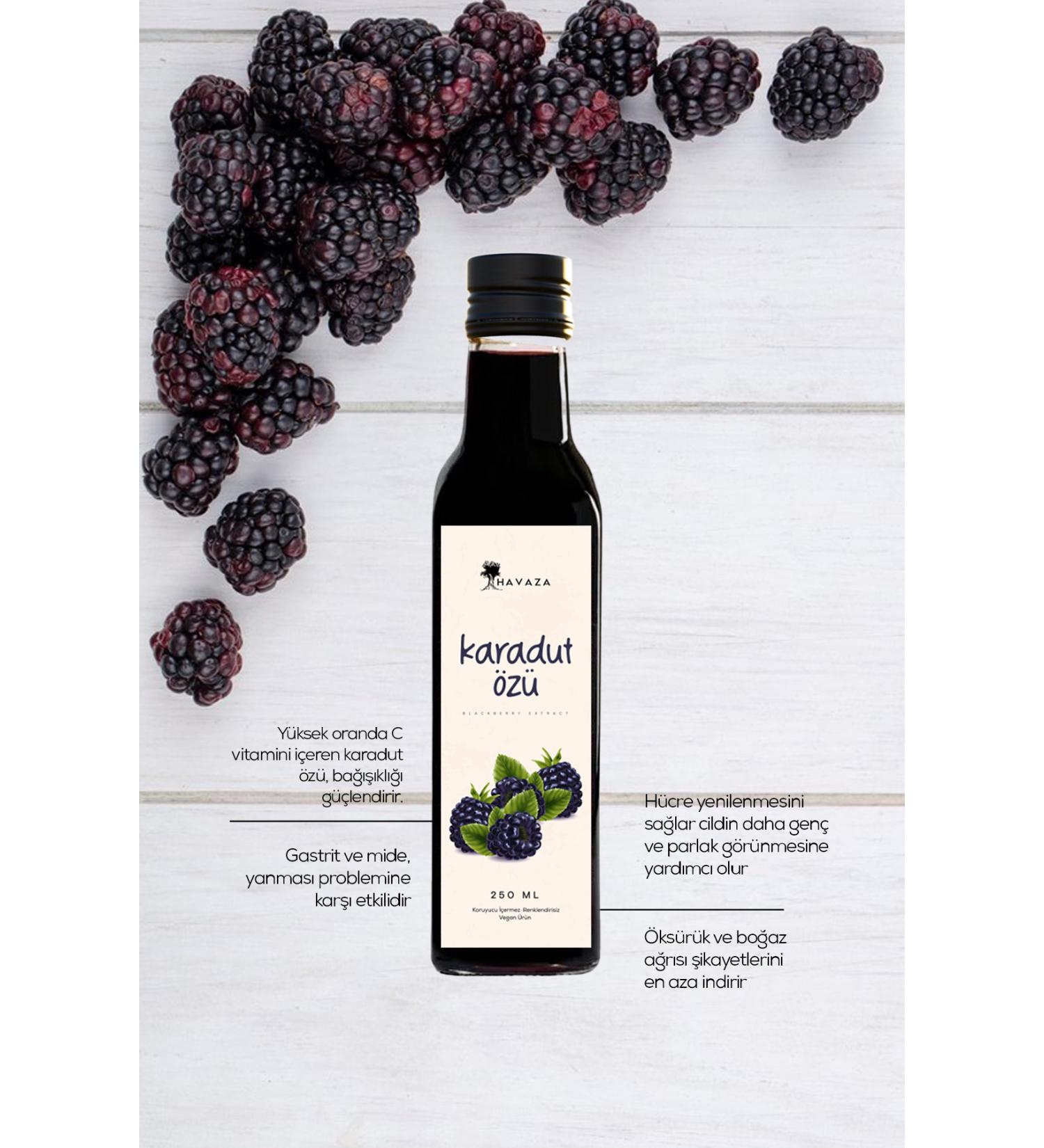 Havaza Black Mulberry Extract 500 G (Homemade 0 Natural)