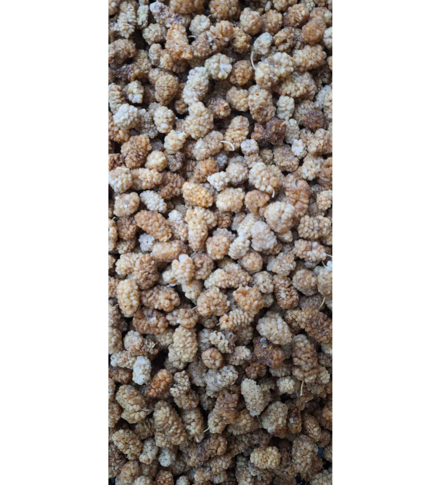 Hcz Food Dried Mulberry 1000 gr.