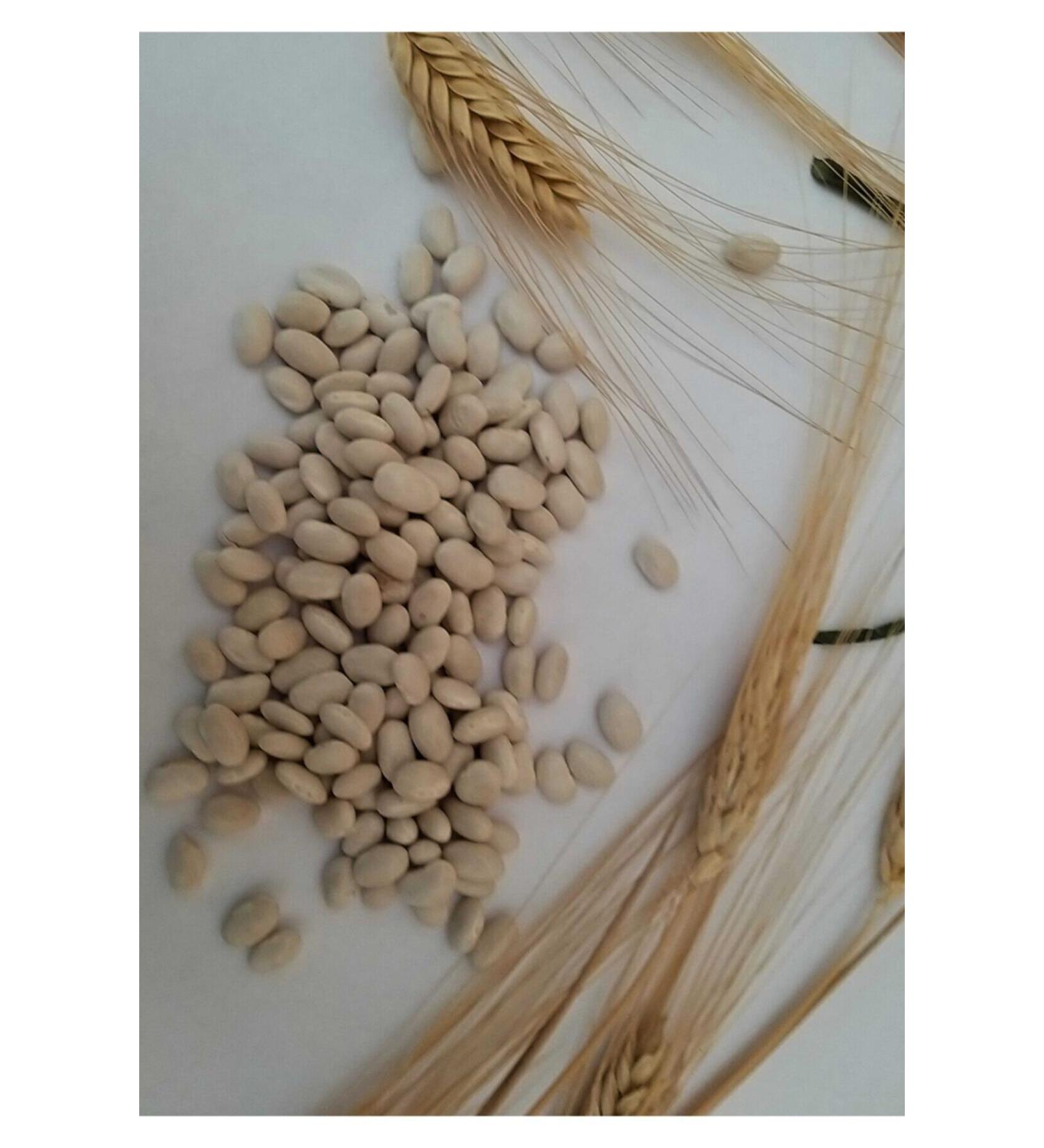 HATAY AH N FTL K Local Village Beans Dry Beans 5 kg - Buy Online on GoSupps.com