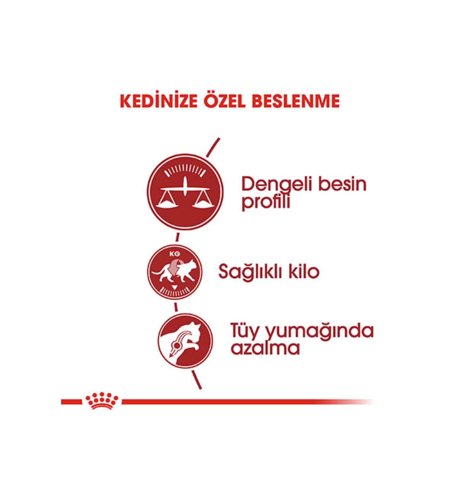 Ali The Stereo Royal Canin Fit 32 Adult Cat Food 10 Kg alithestereo