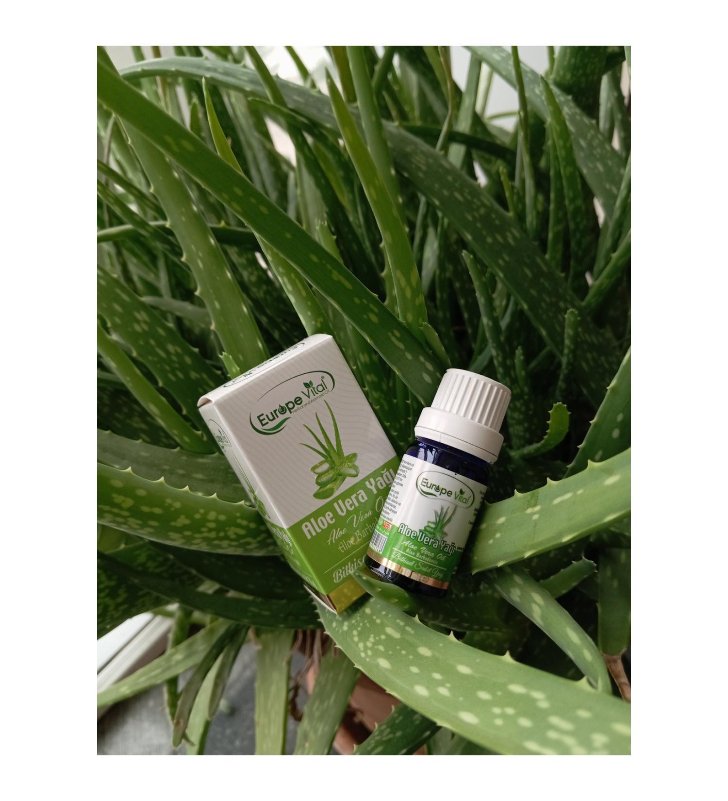 Europe Vital Aloe Vera Oil 10 Ml