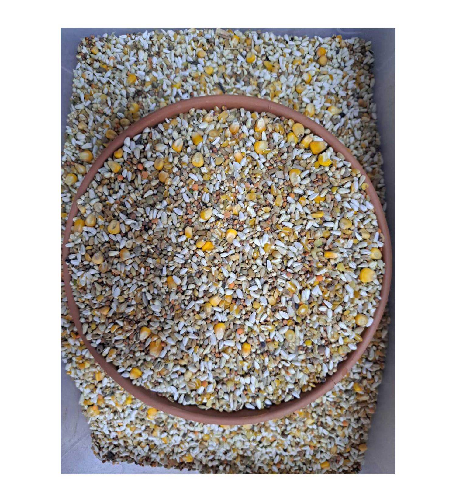 Omnixer Mixed Pigeon Food 5 KG (9 TYPES MIXED)