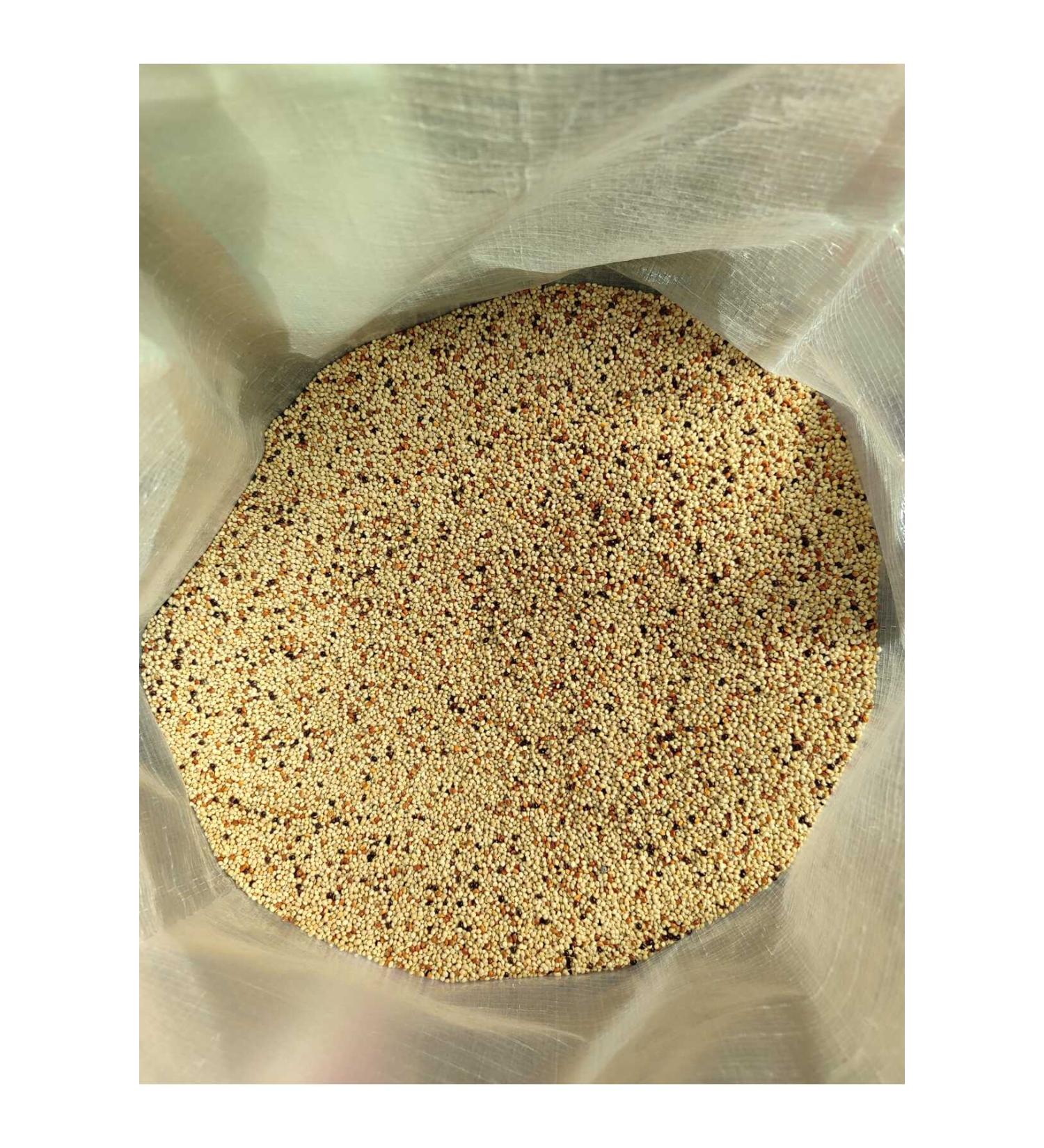 Prochef 1 Kg Budgie Food & Mixed Food