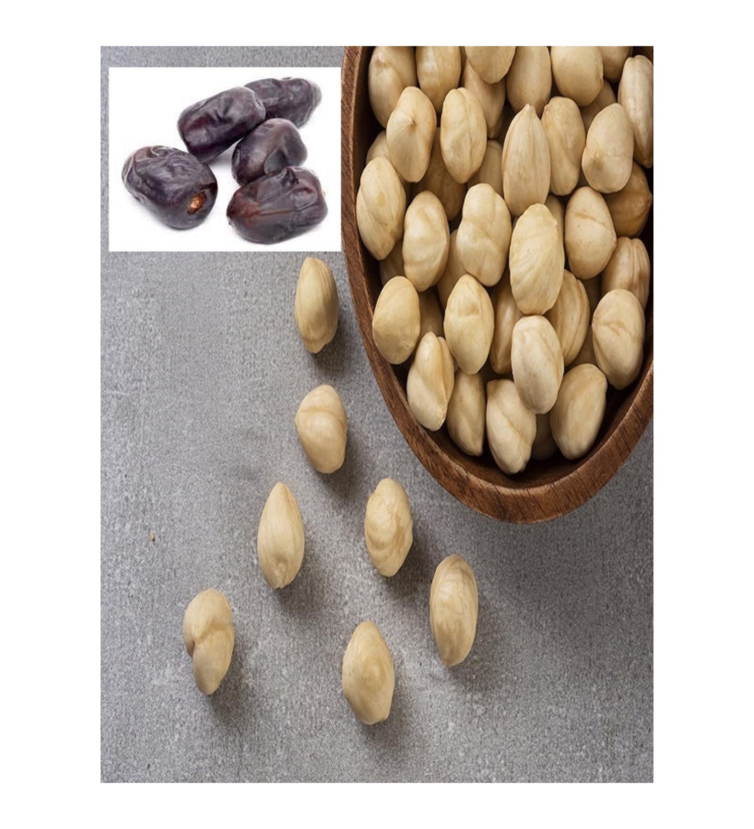 Fatih Hazelnut Iranian Dates 450 gr