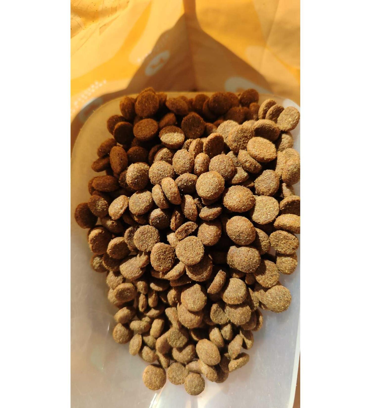 Prochef 5 Kg Gourmet Dog Dry Food & Lamb Salmon Chicken and Steak Food