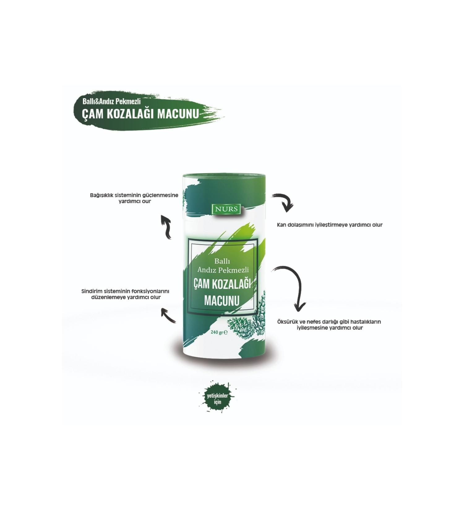 Nurs Cone Paste - Pine Cone Paste 240 gr Hologram Product