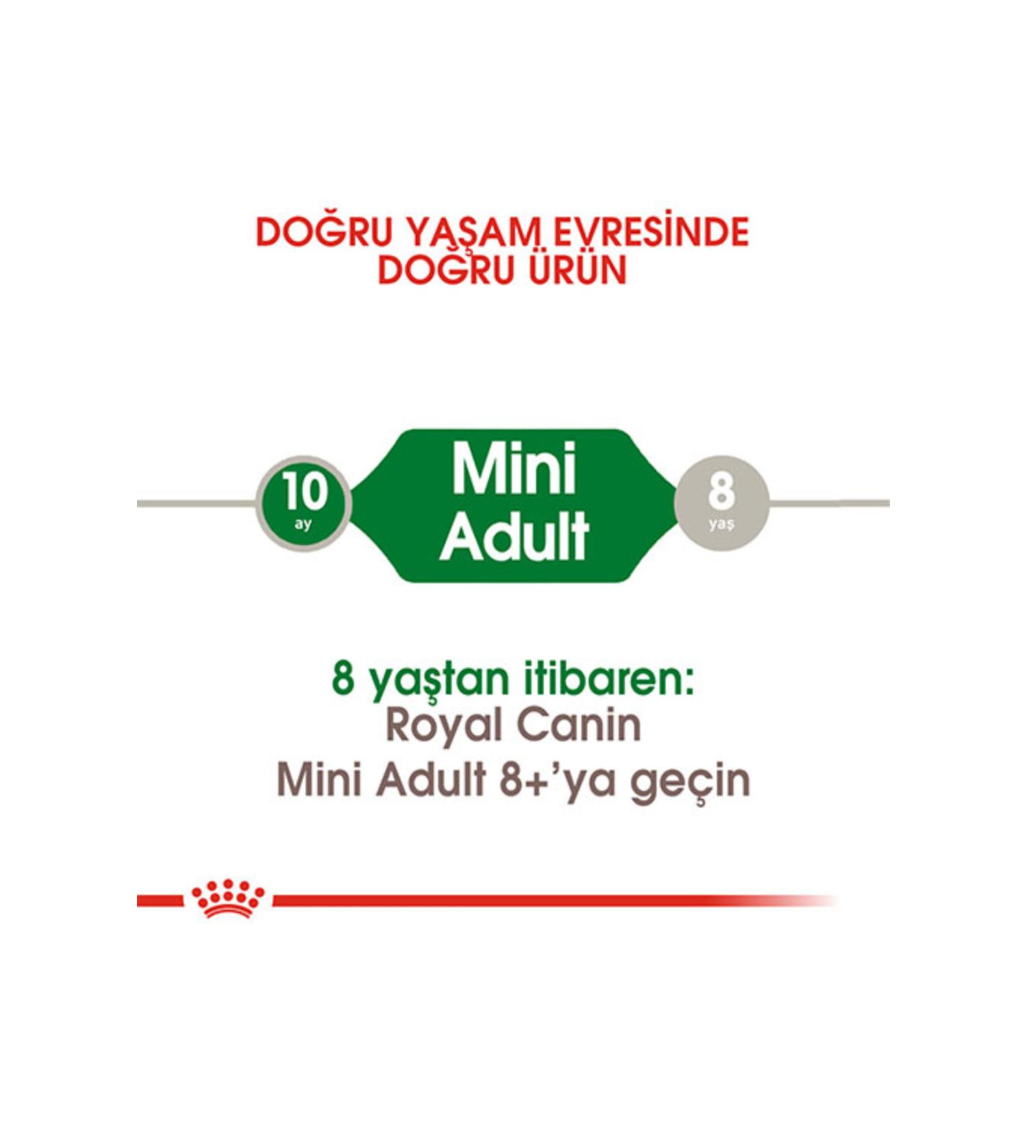 Ali The Stereo Royal Canin Mini Adult Small Breed Adult Dog Food 2 Kg