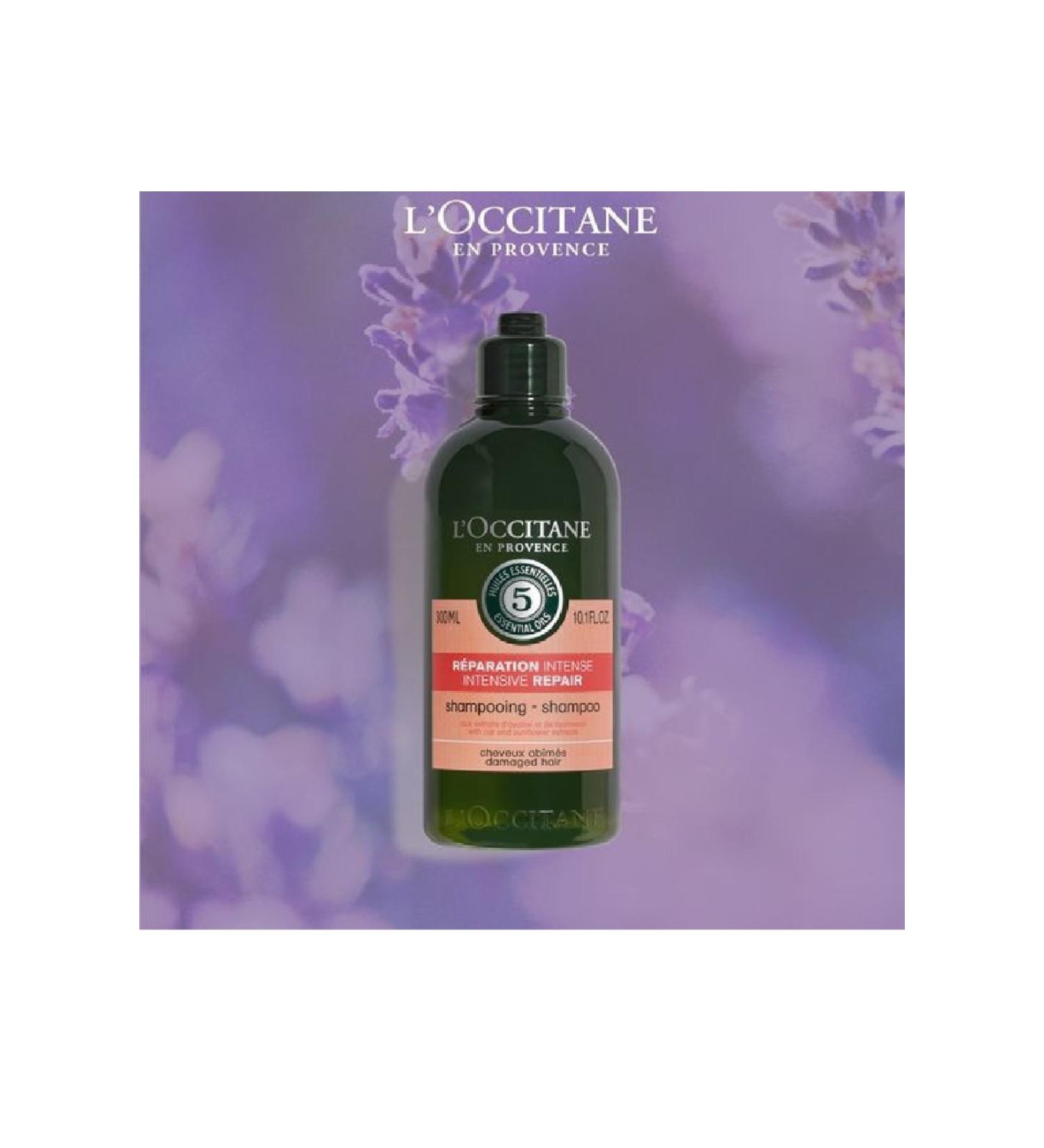 L'Occitane L'OCCITANE - Repair Shampoo - 300Ml - CAME COSMETICS - Buy Online on GoSupps.com