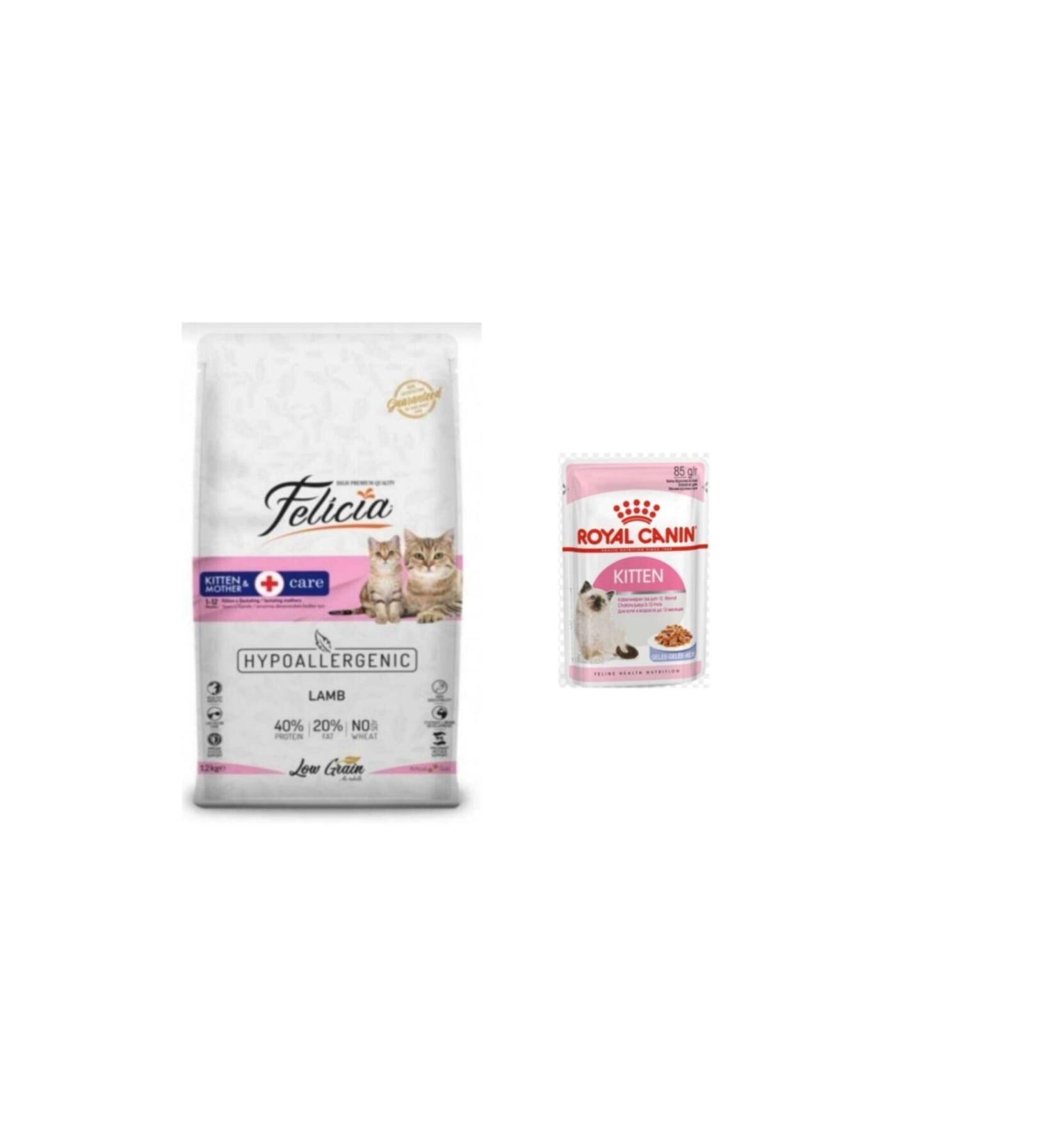 Felicia lamb Kitten & Mother 12 kg + Royal Canin Kitten Pouch Wet Food 85 gr
