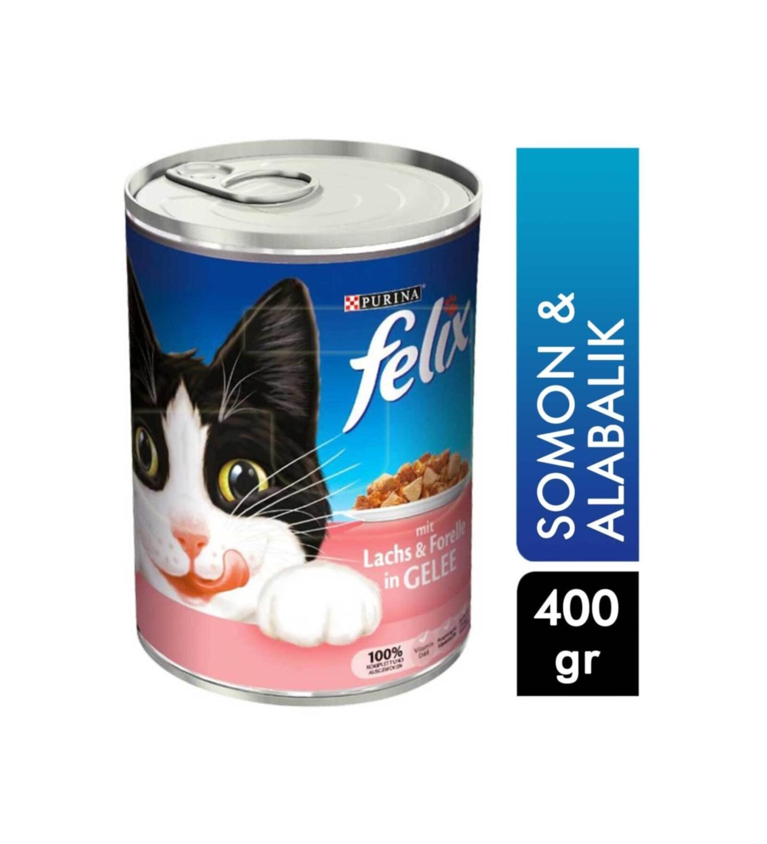 FELIX Cat Food 100 G Chicken