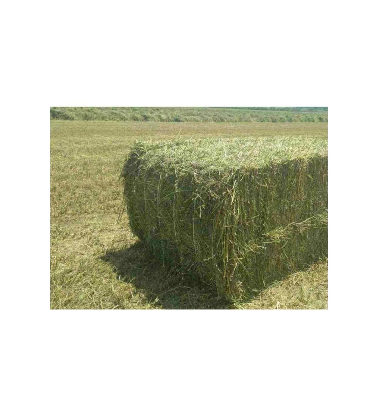 POLYBOTUM Alfalfa Rodent Grass 1 Kg