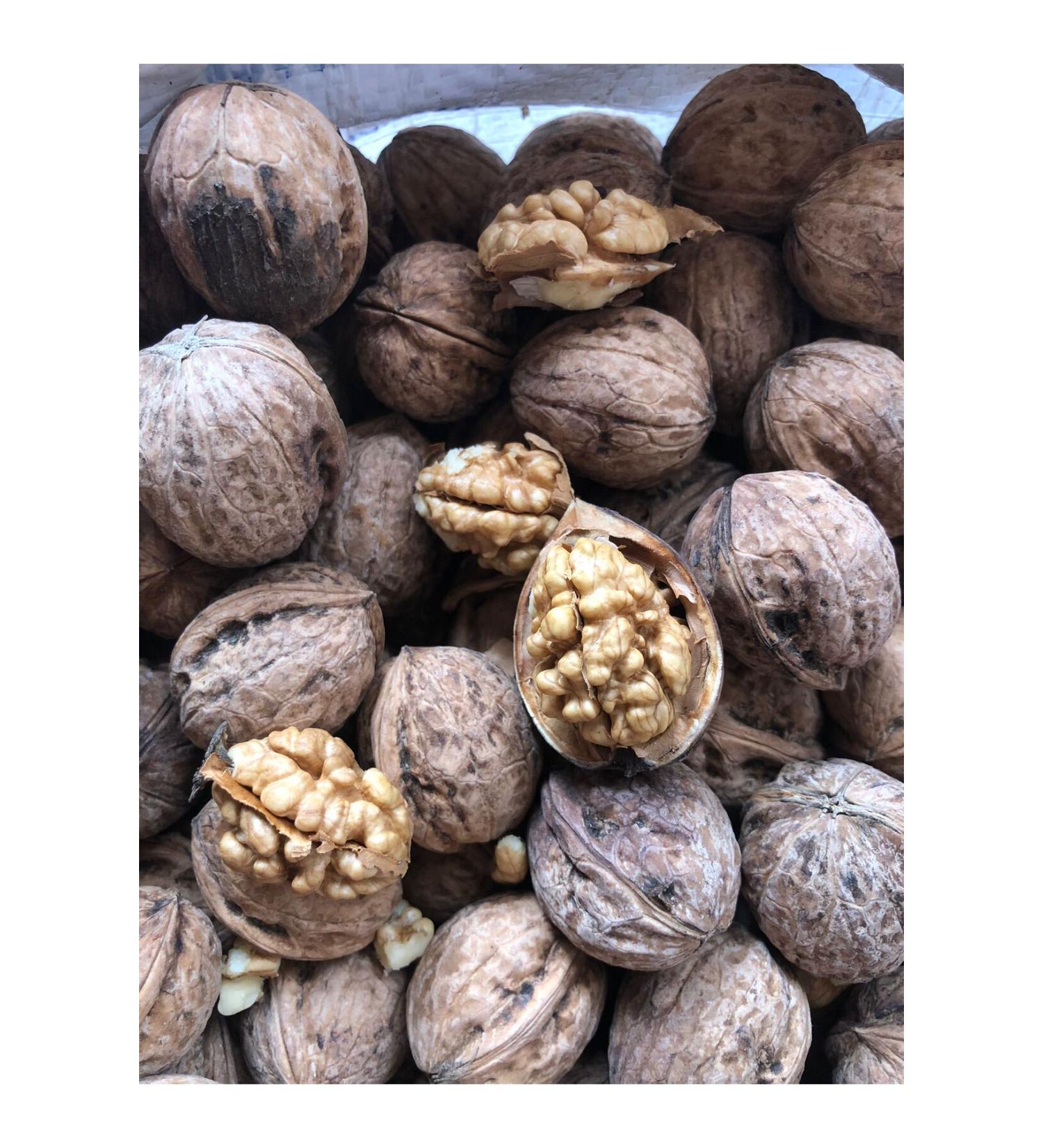 pilpayeterim Walnut Local Shelled Walnut 1 Kg