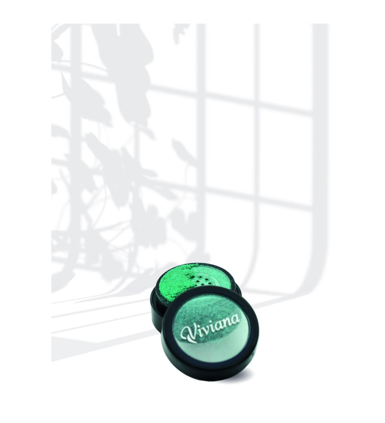 Viviana Velvet Touch Loose Eyeshadow 11