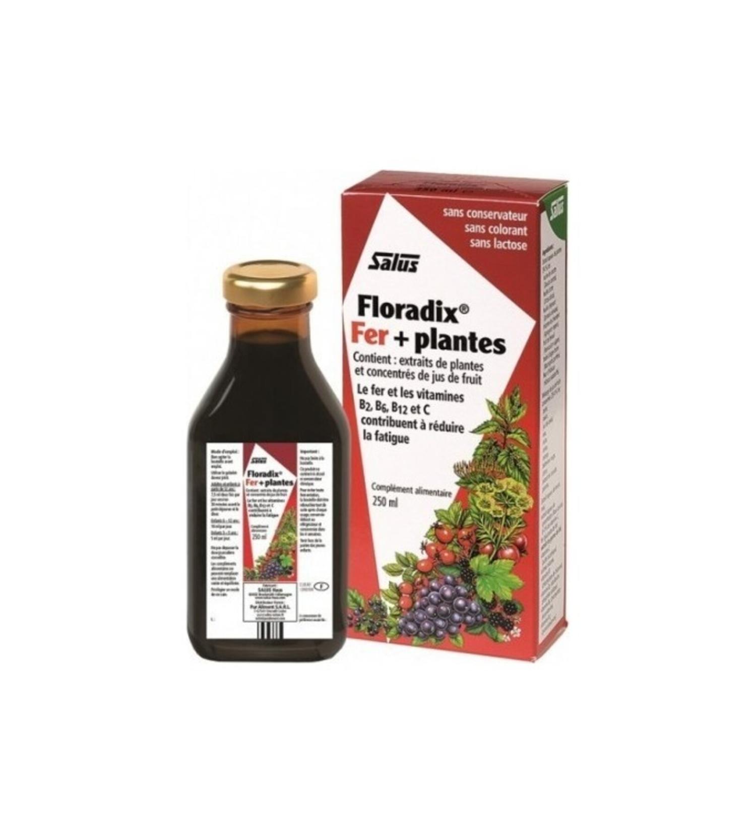 Floradix Hiperfarma Liquid Food Supplement Containing Iron and Vitamins 250 ml