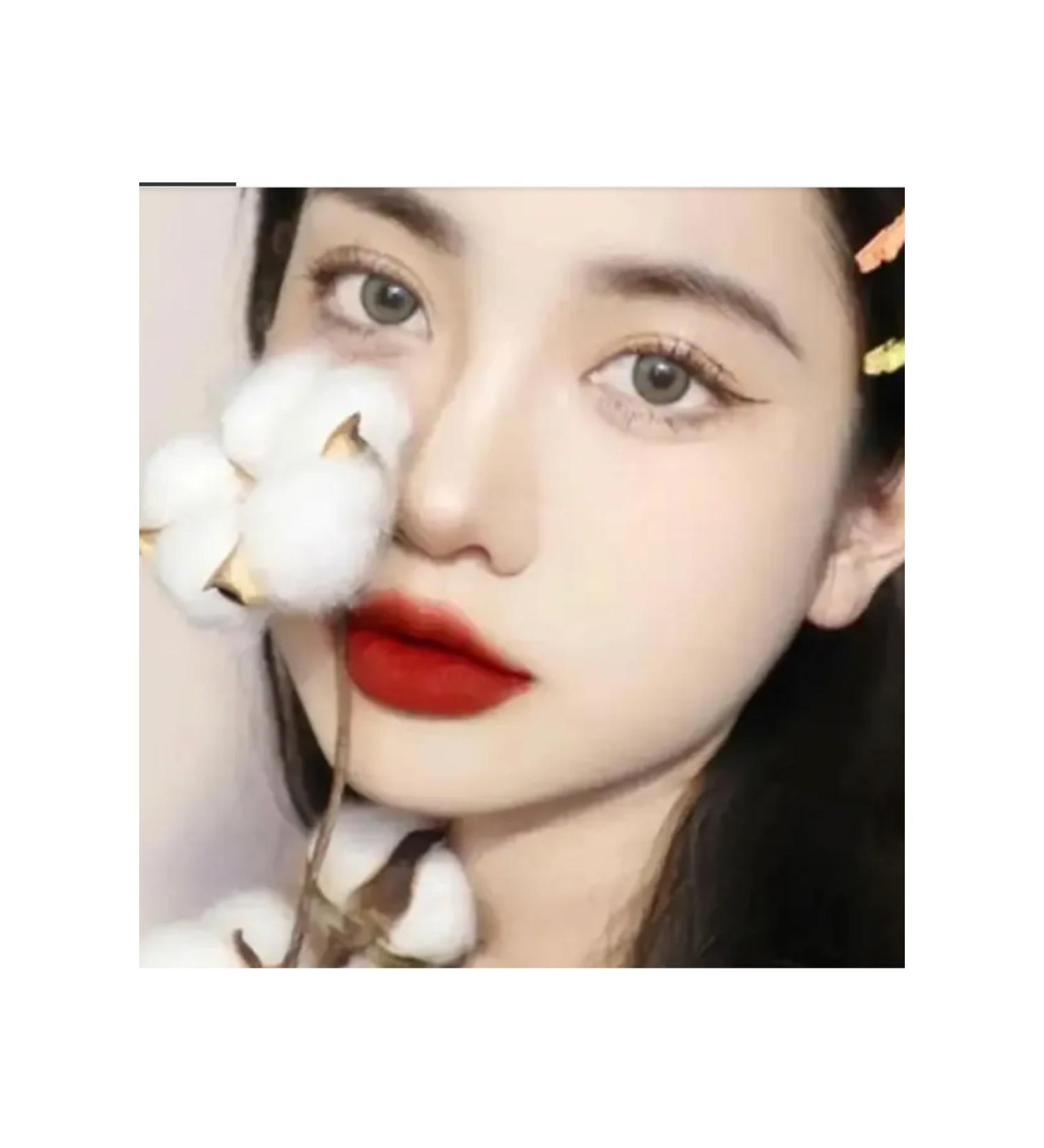 ershiQi Liquid Lipstick Long-lasting Waterproof Matte Lipstick Ershiqi Matte Velvet Matte Lip Glaze