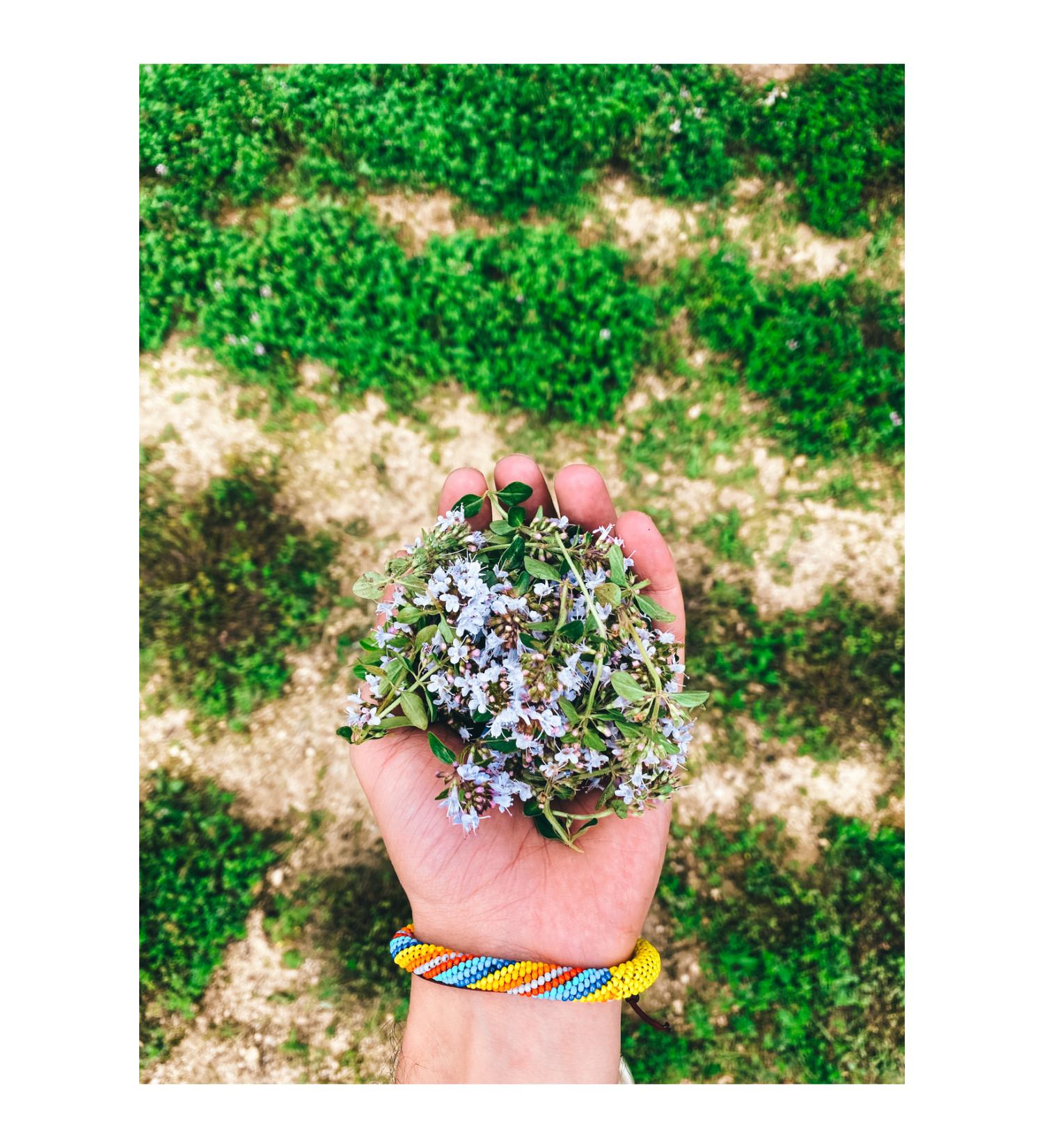 TEA Yayla Tea Purple Thyme - Buy Online on GoSupps.com