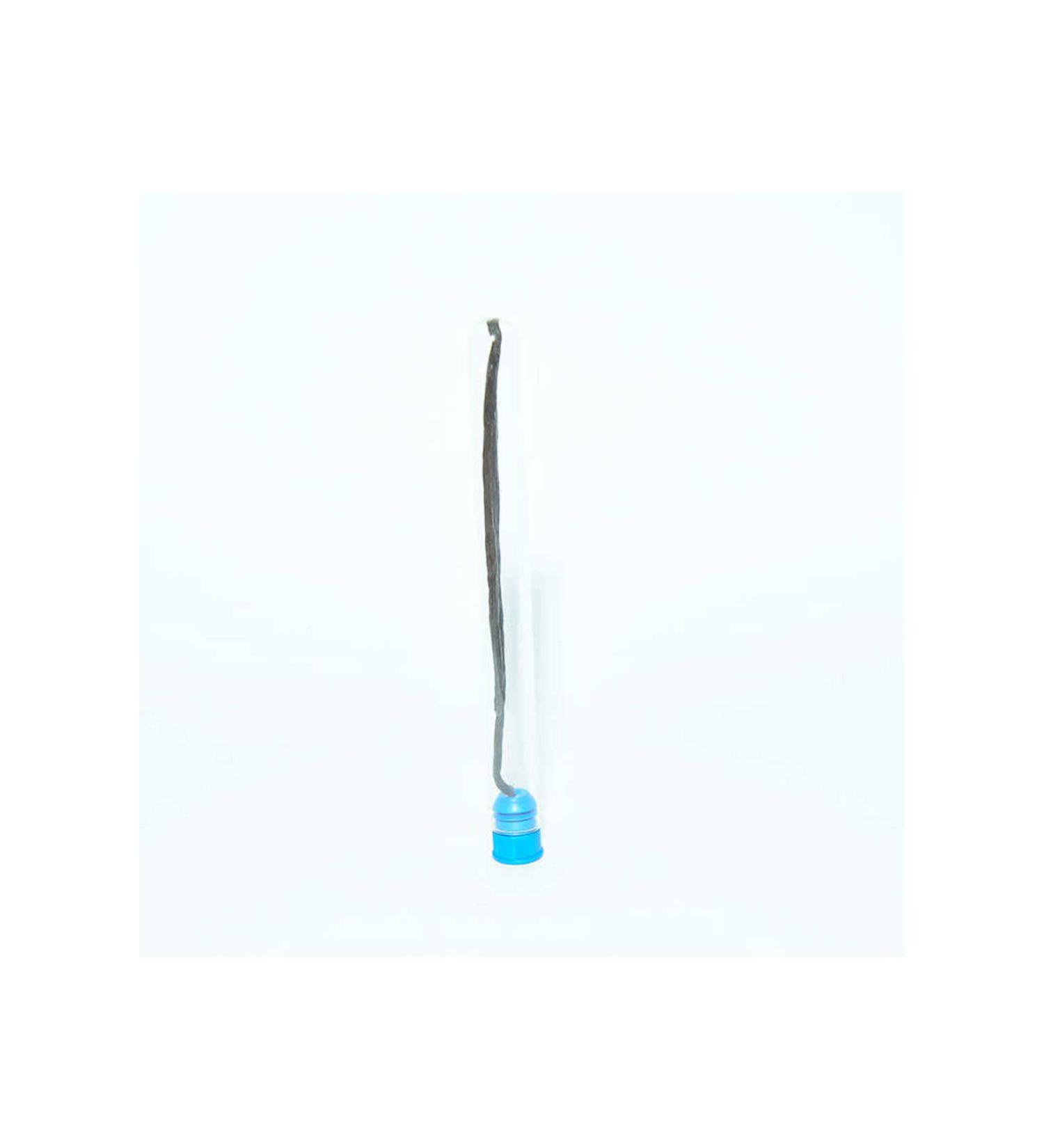 Lucest Natural Vanilla Stick Glass Bell Jar