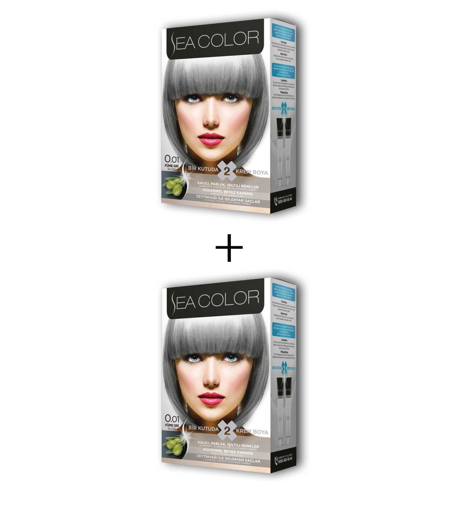 Sea Color 2X2 Tube Cream Hair Dye Set Smoke Gray No:0.01