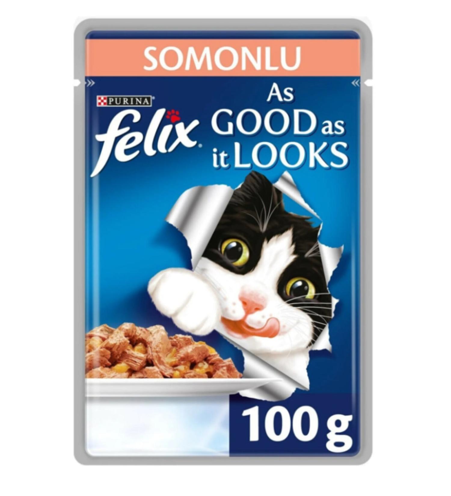 FELIX Salmon Adult Cat Pouch 40 Pieces