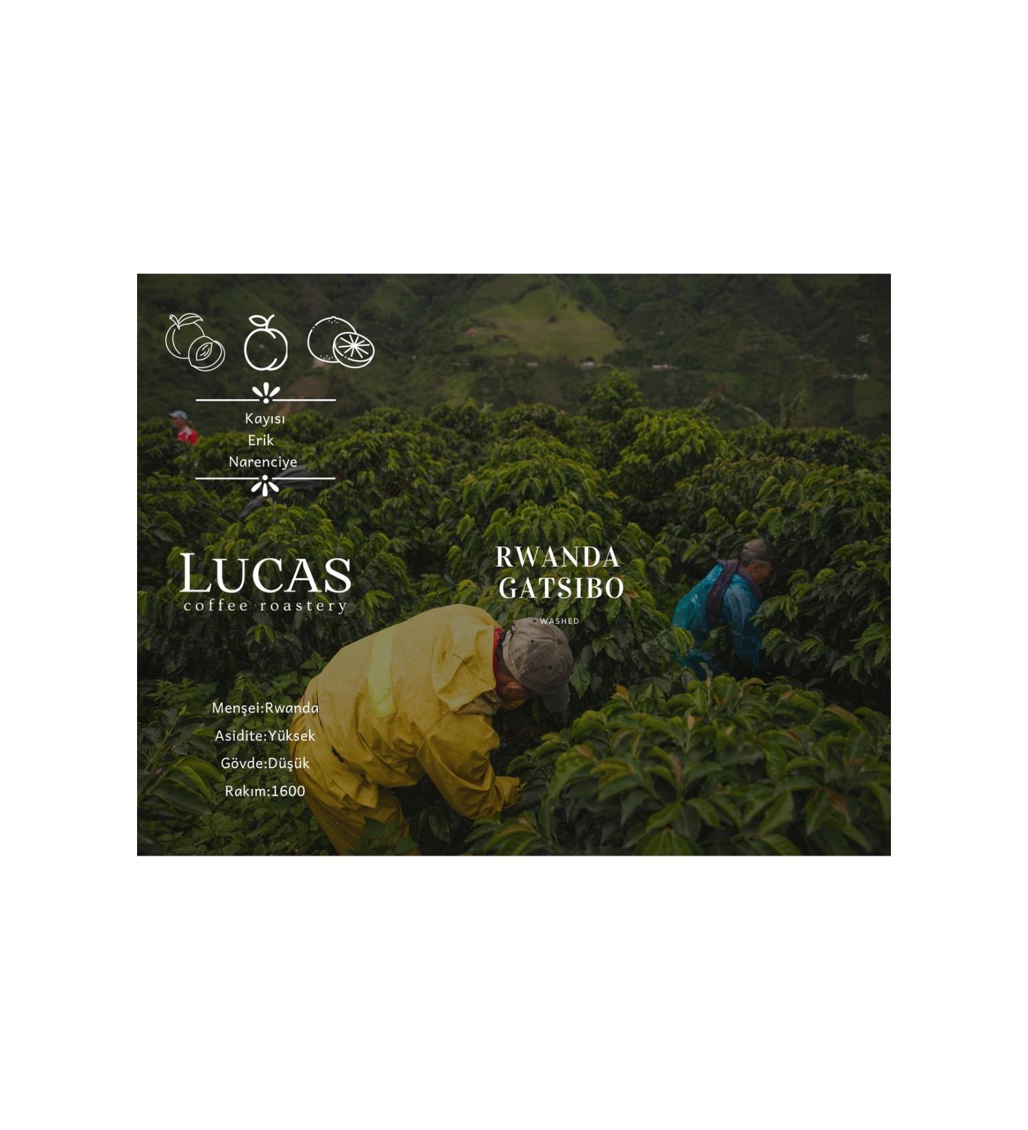 Lucas Coffee Rwanda Gatsibo Washed Specialty Coffee 250 gr