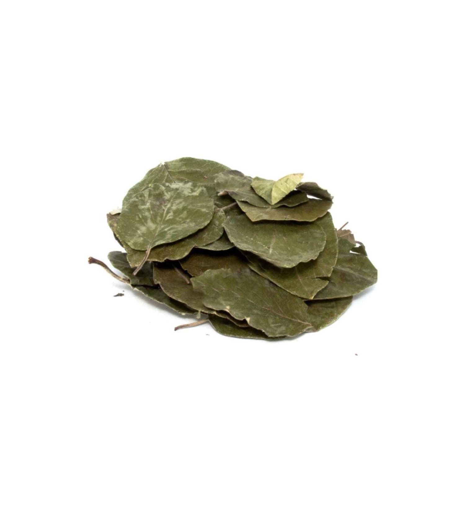 Avocado Leaves 1000 gr