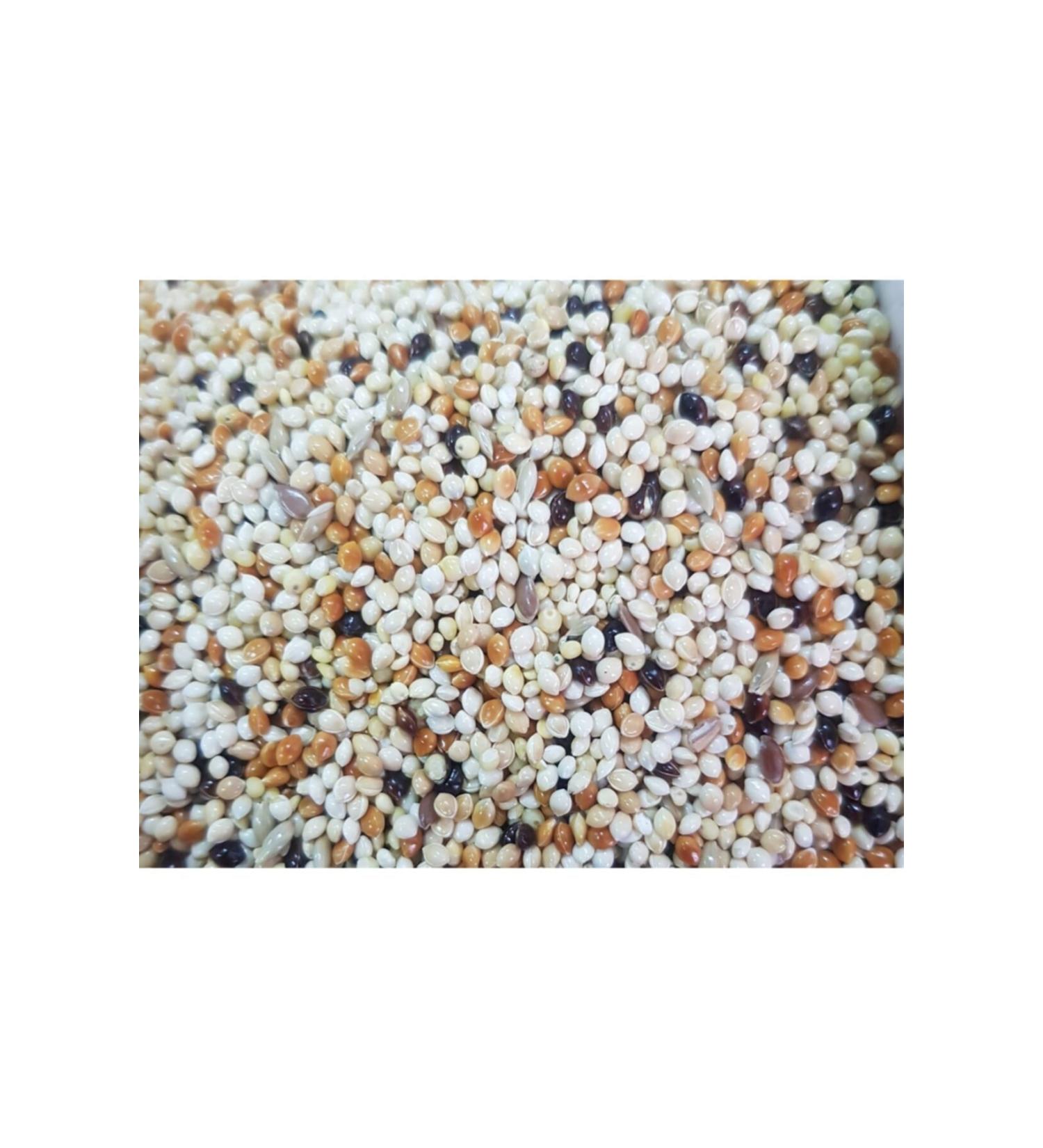 Waterfall Mixed Budgie Food 5 Kg