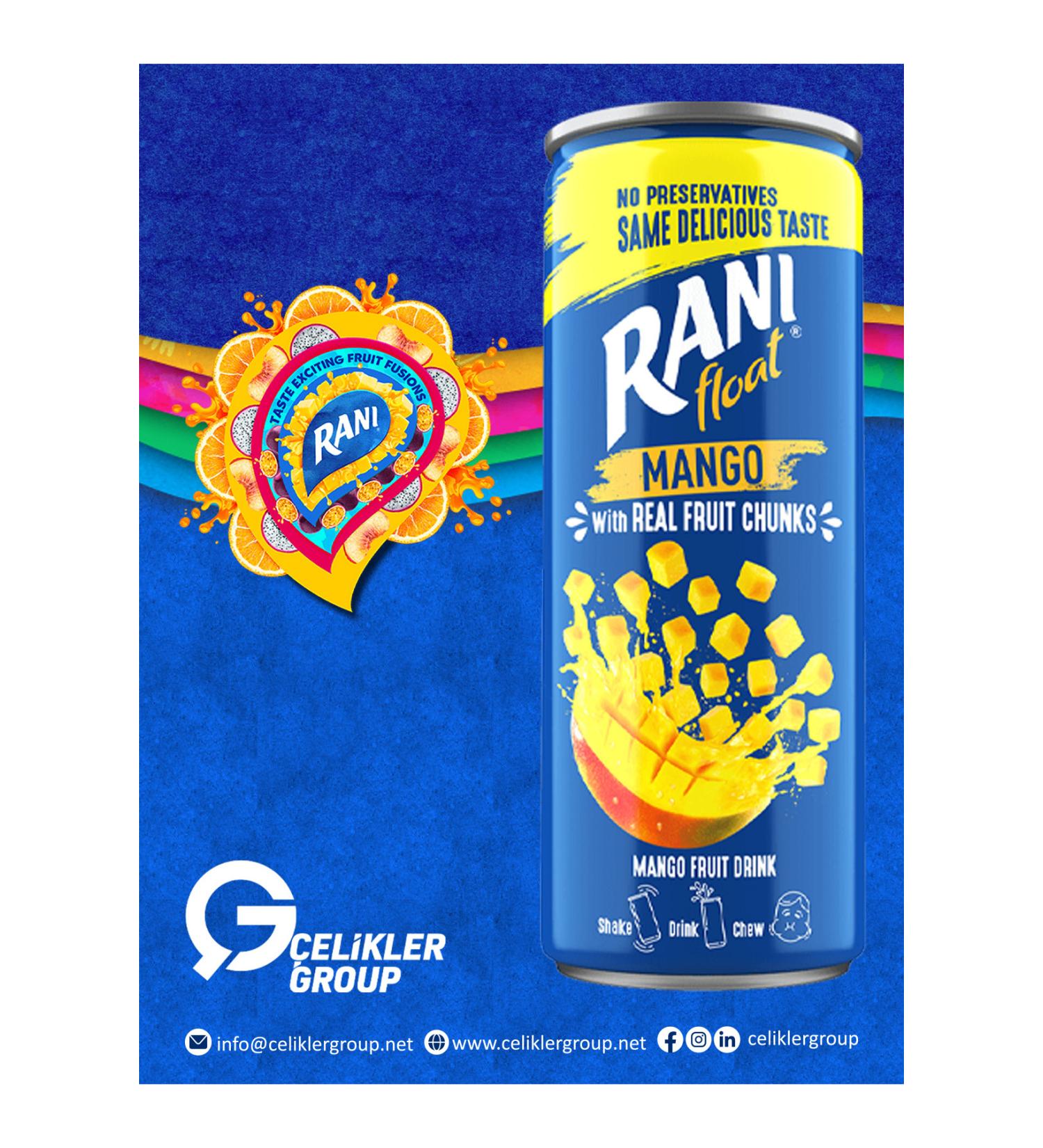 Rani Mango Juice with Chunks