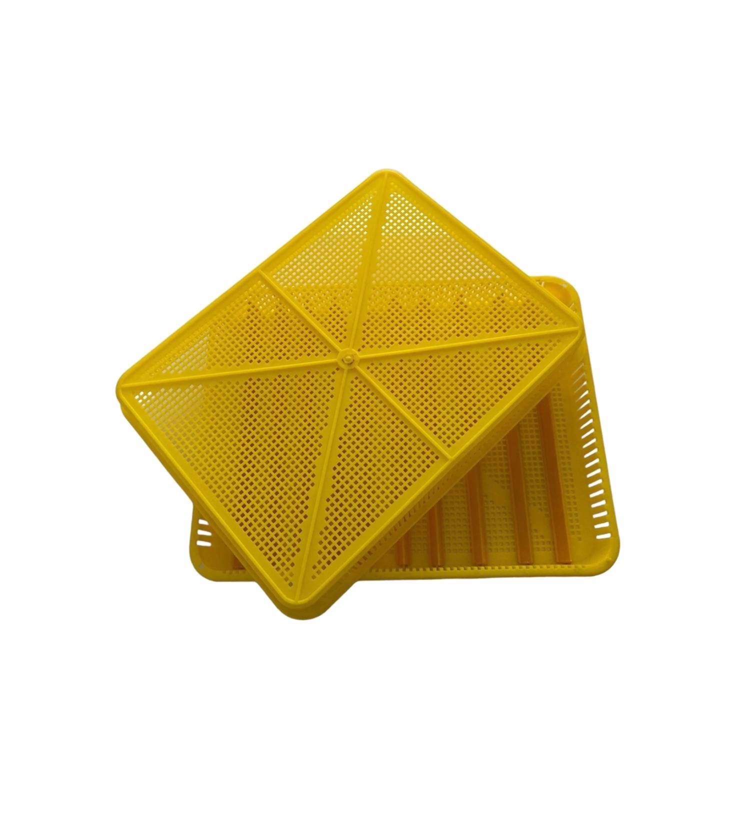 crescent moon incubator Adjustable Hatching Viol with Lid Compatible with All Eggs - Buy Online on GoSupps.com