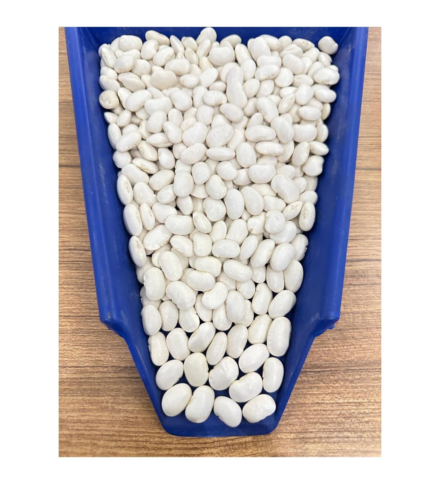 Cbm bombayy beans 5 kilos