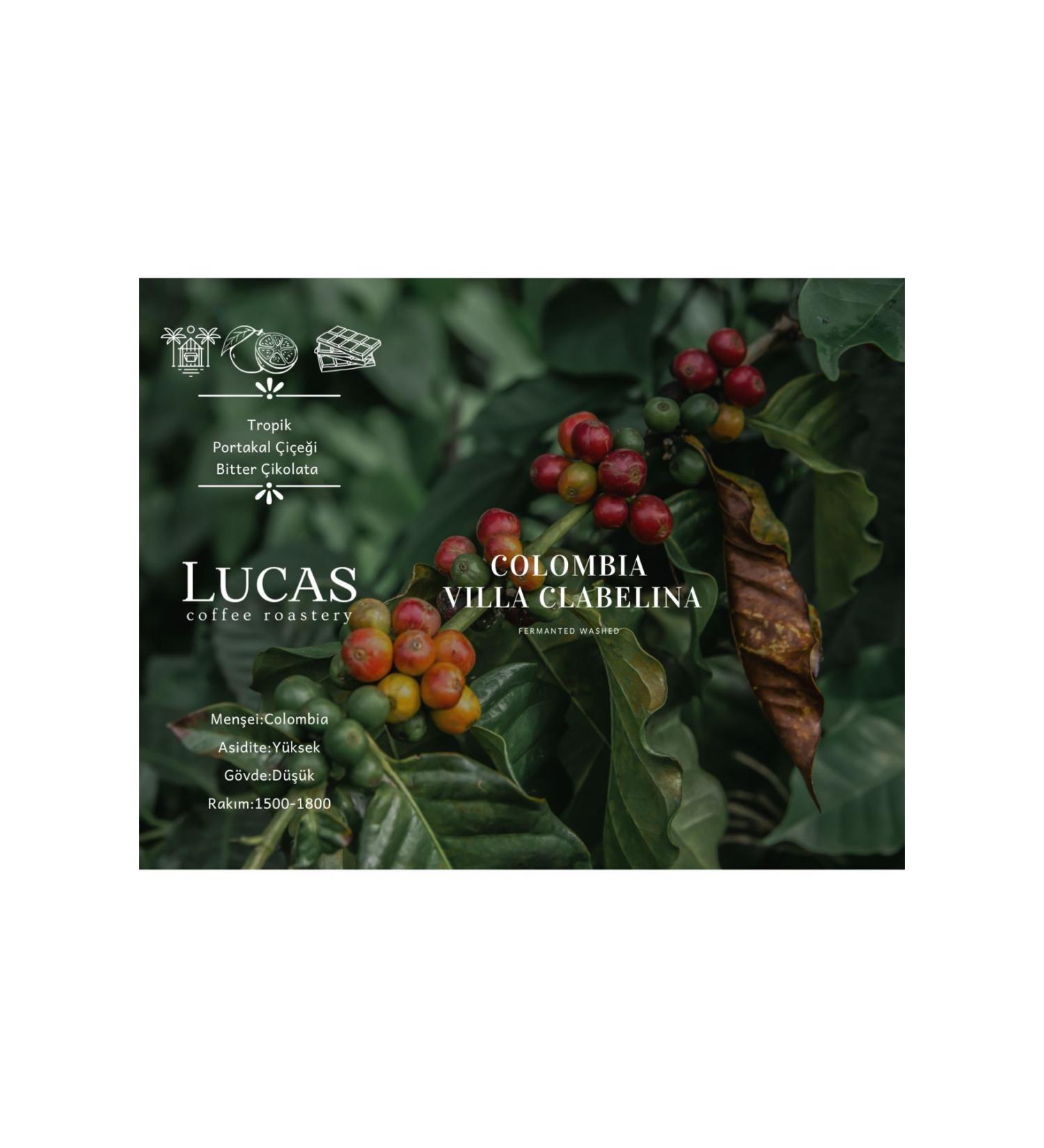Lucas Coffee Colombia Antioquia Villa Clabelina Fermanted Washed Specialty Coffee 250 gr