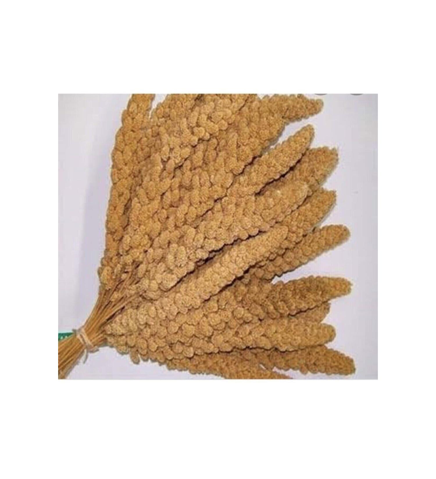 Ra am Botaik Dal Millet-Natural Yellow Dal Millet Bird Food 1 Kg