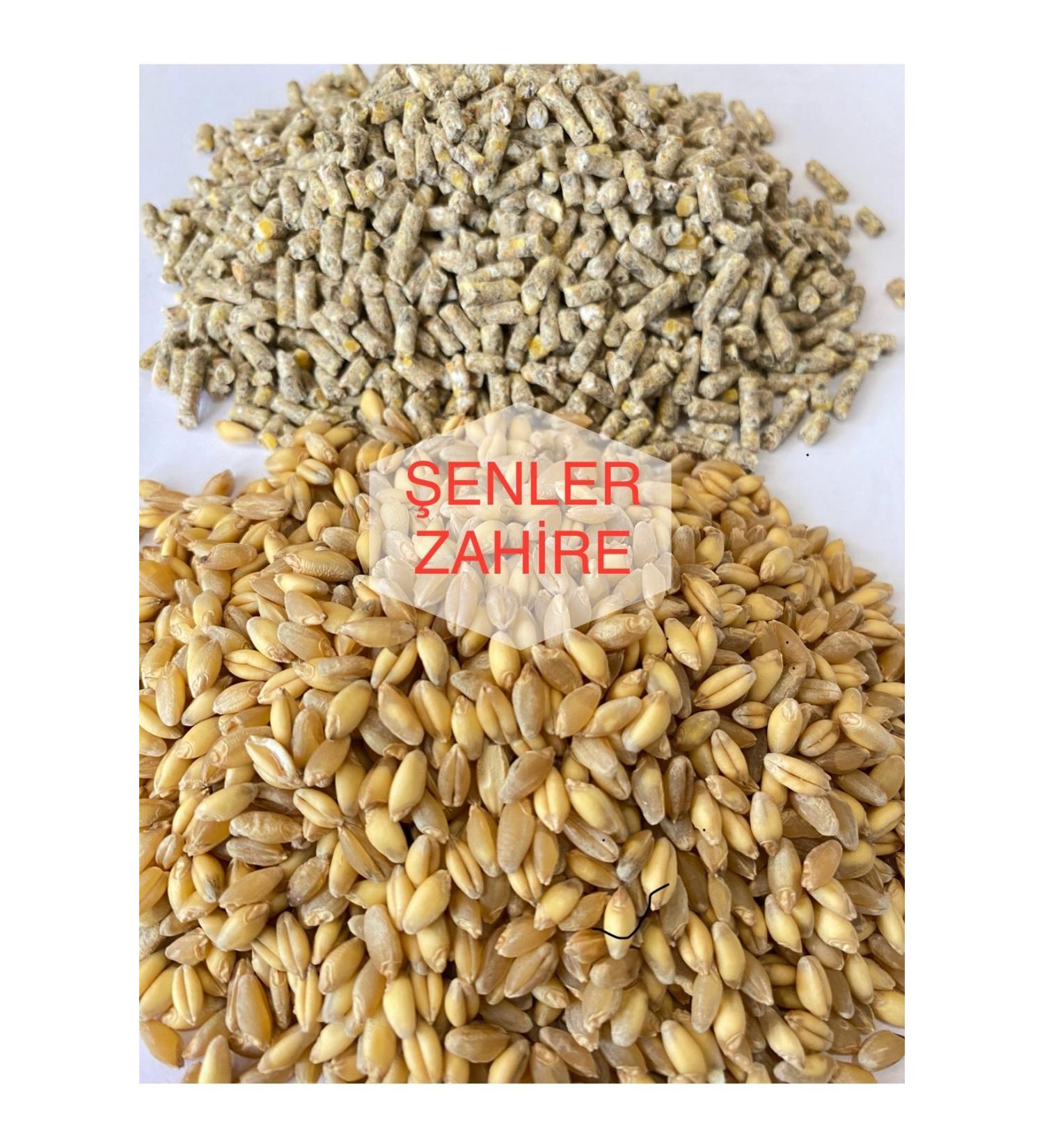 enler Zahire - 5 kg - Egg Pallet Feed and Wheat Mixed Feed - (Chicken Goose Duck etc.)
