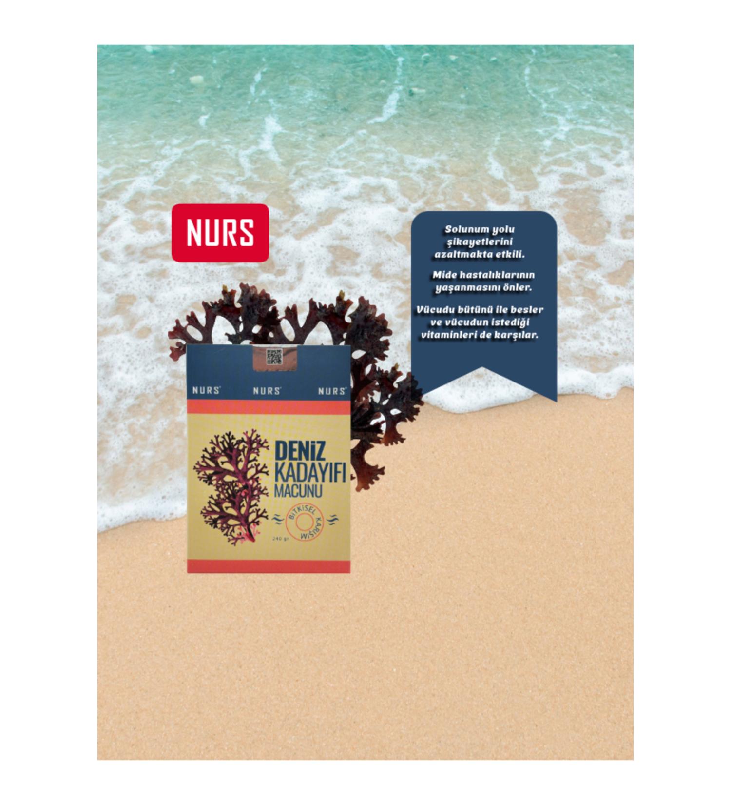 Nurs Shredded Seaweed Paste - Original Product 240gr.