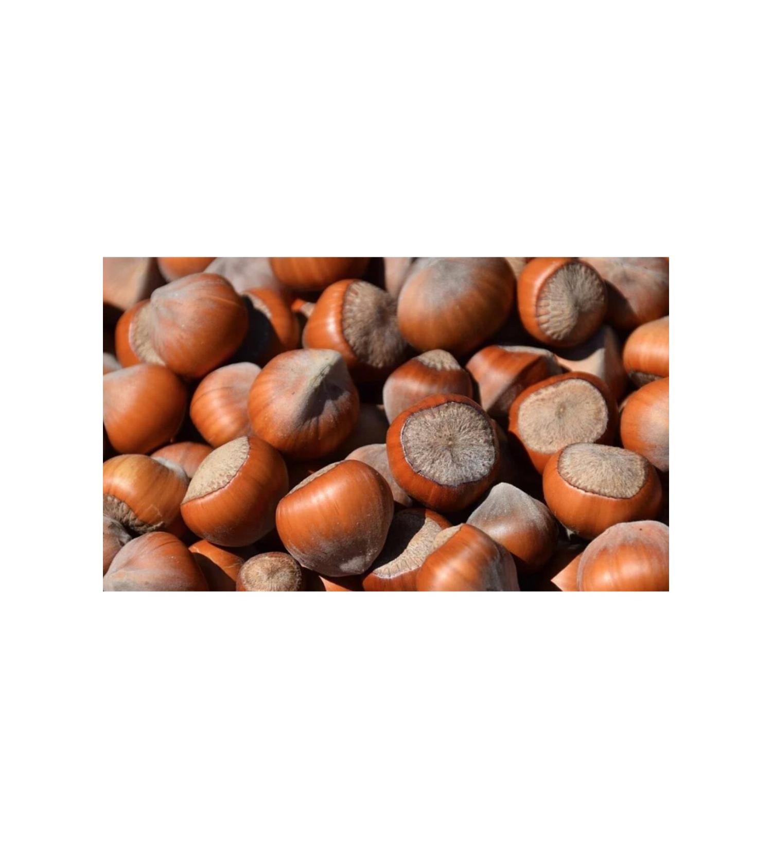 Birlik Shelled Hazelnuts 1kg Natural