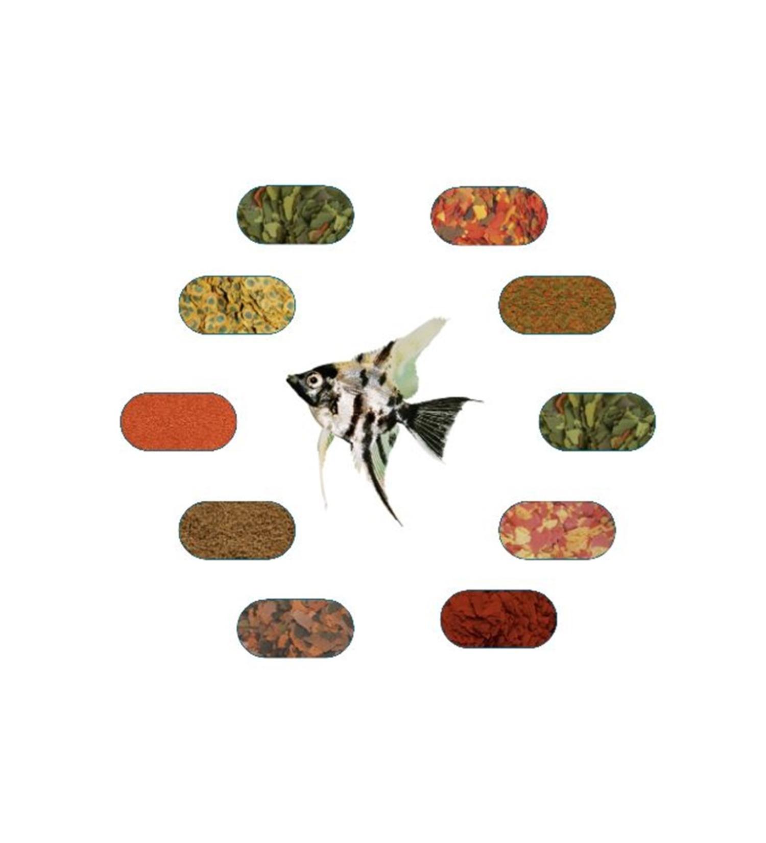 ANGEL FISH FOOD PACKAGE (100 GR - 6 TYPES)